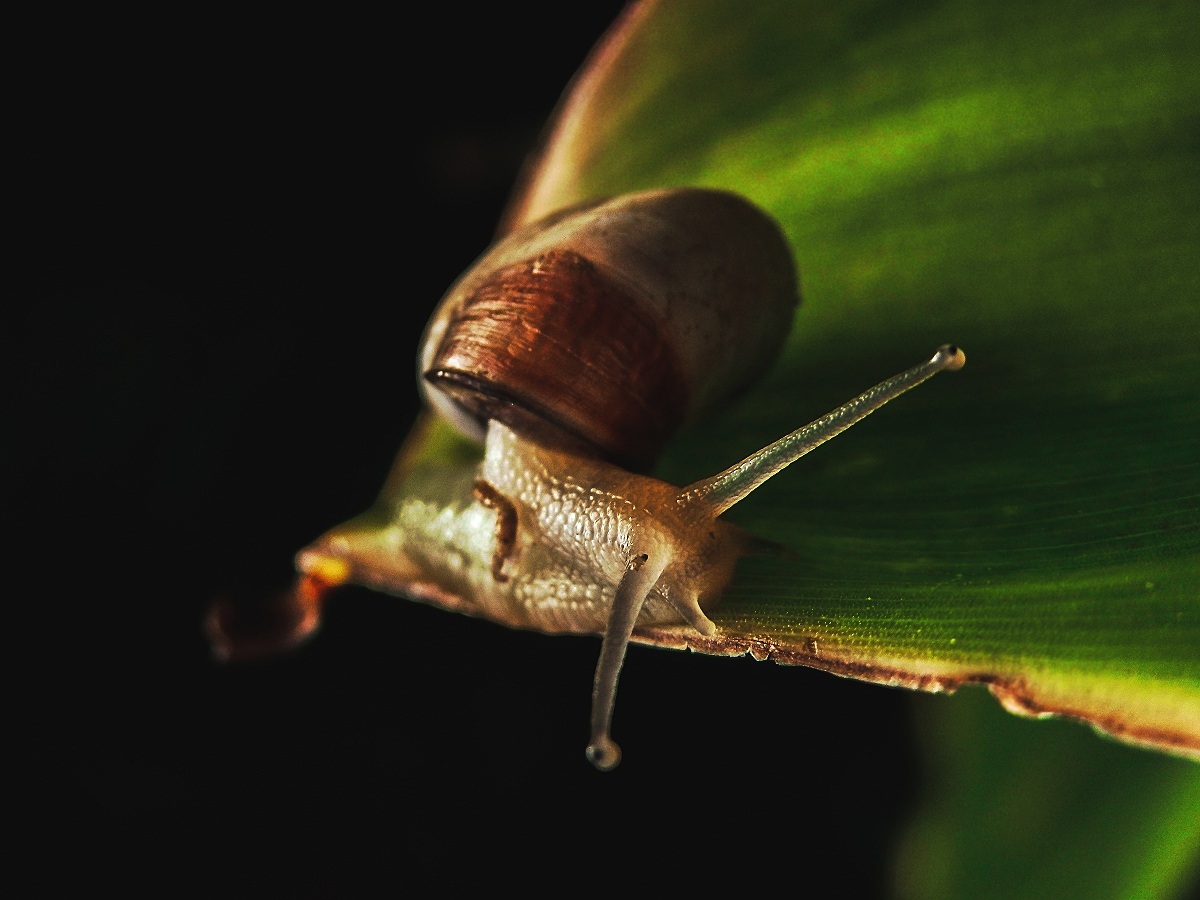 Di corsa al casting di Ghizzi Panizza !!!