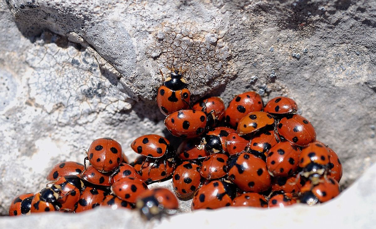 The warmth of friendship