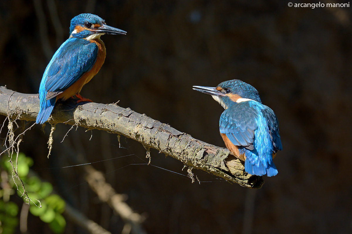 Dialoghi di famiglia fra gli anfratti del torrente