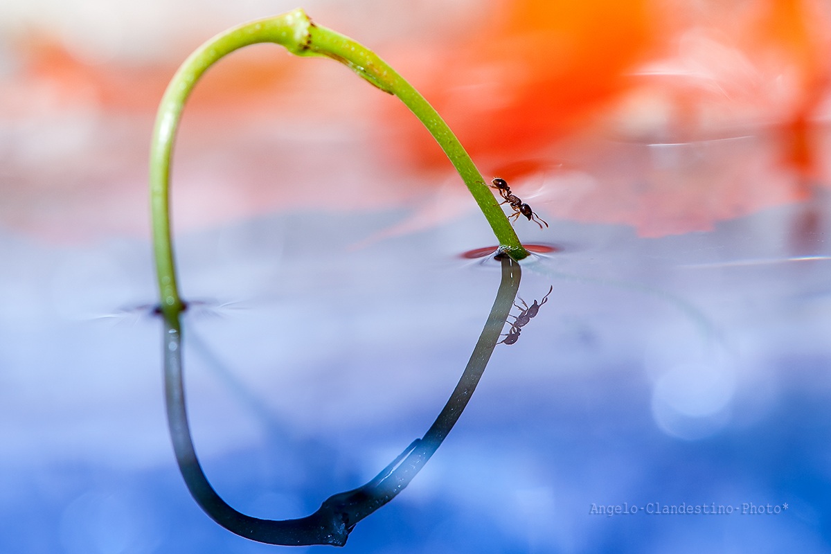 You ... that you walk into my heart !!!