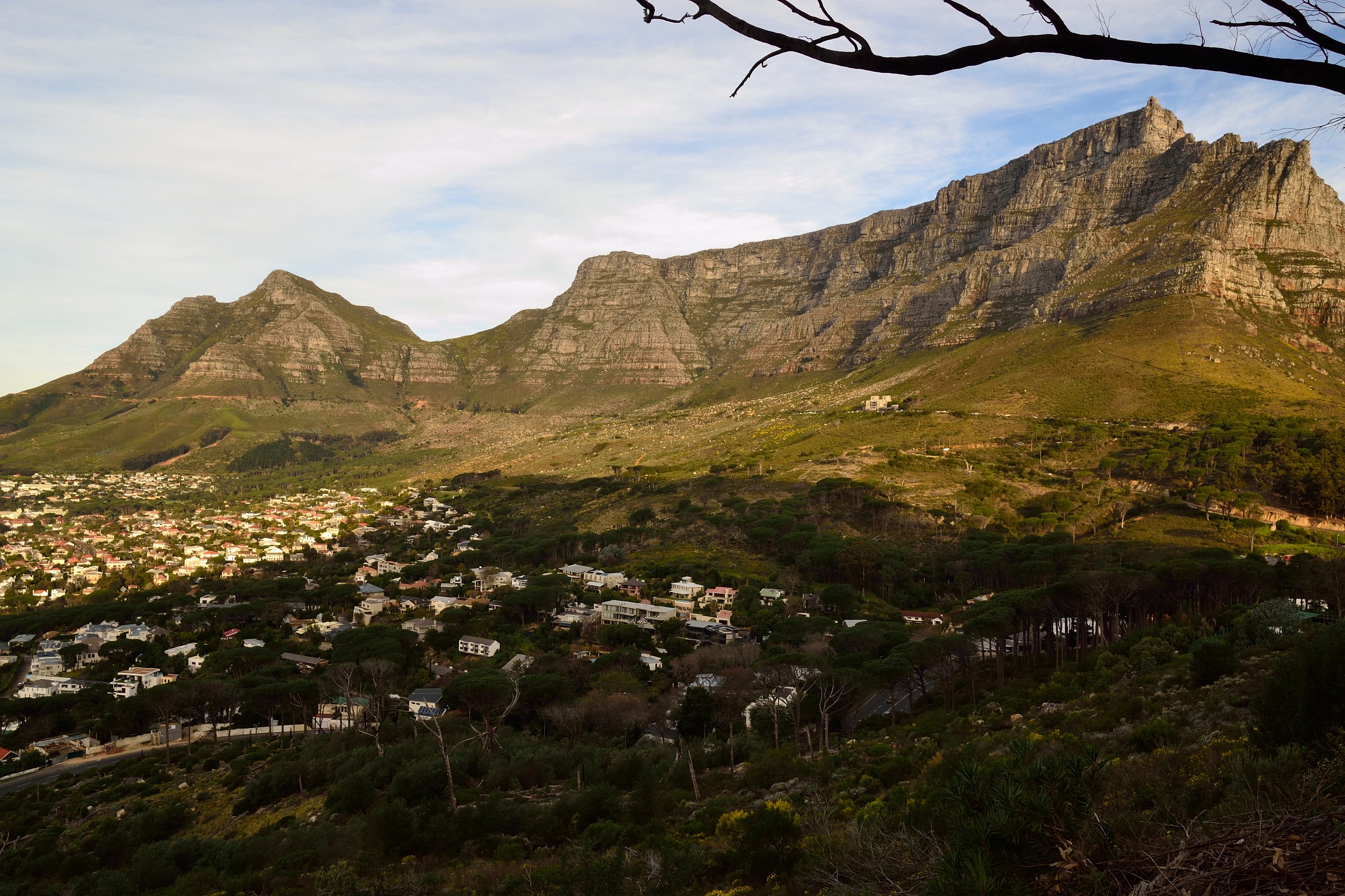 table mountain