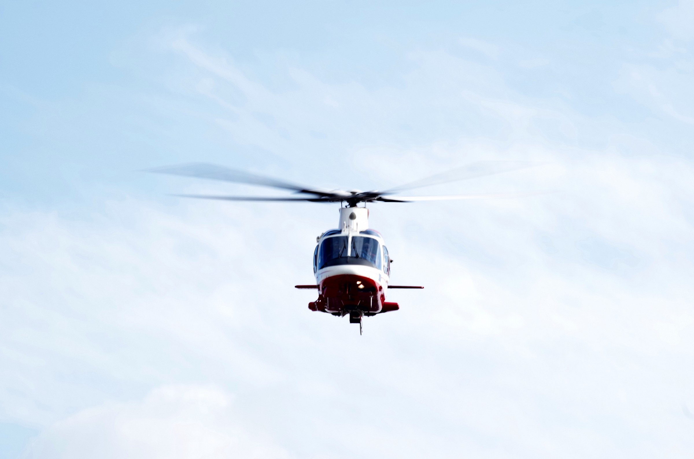 Drago vigili del fuoco