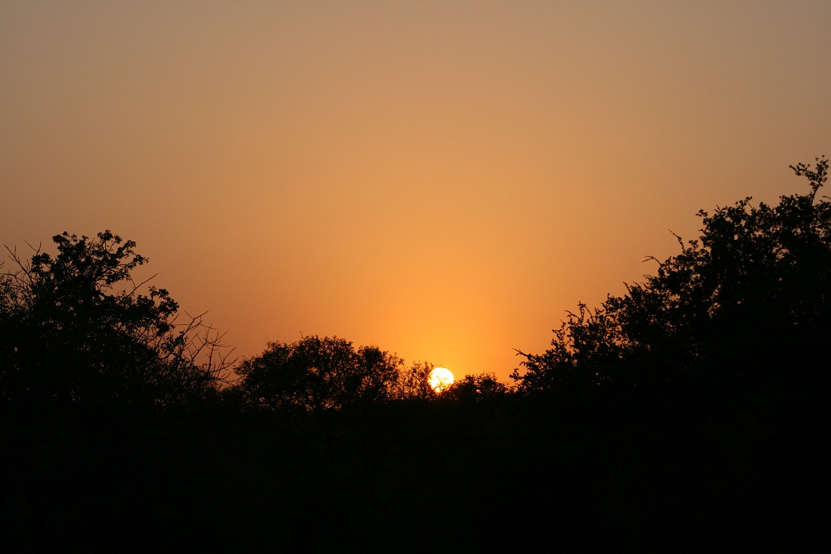 Sunset at kruger park
