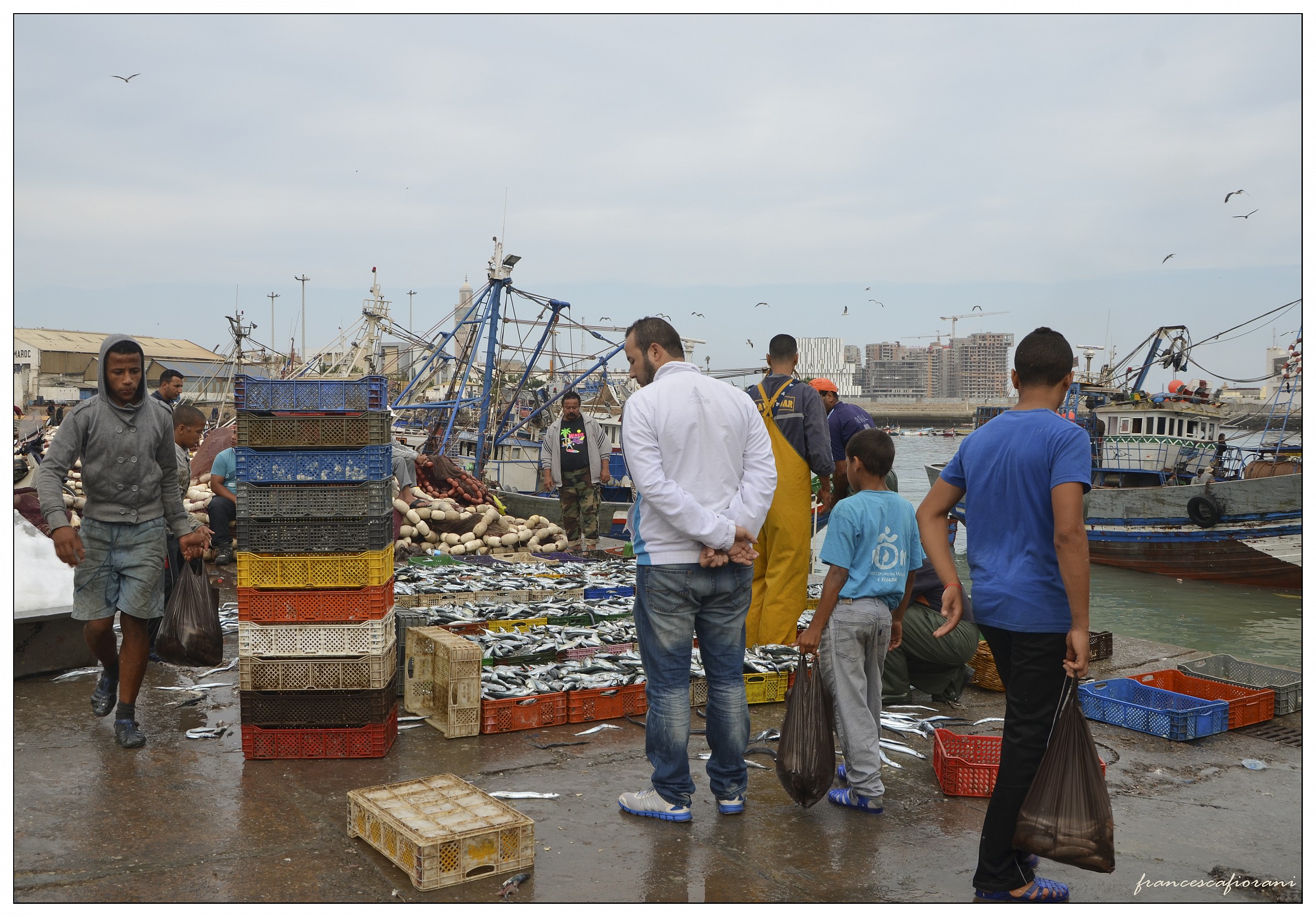 mercato del pesce (Casablanca 2013)