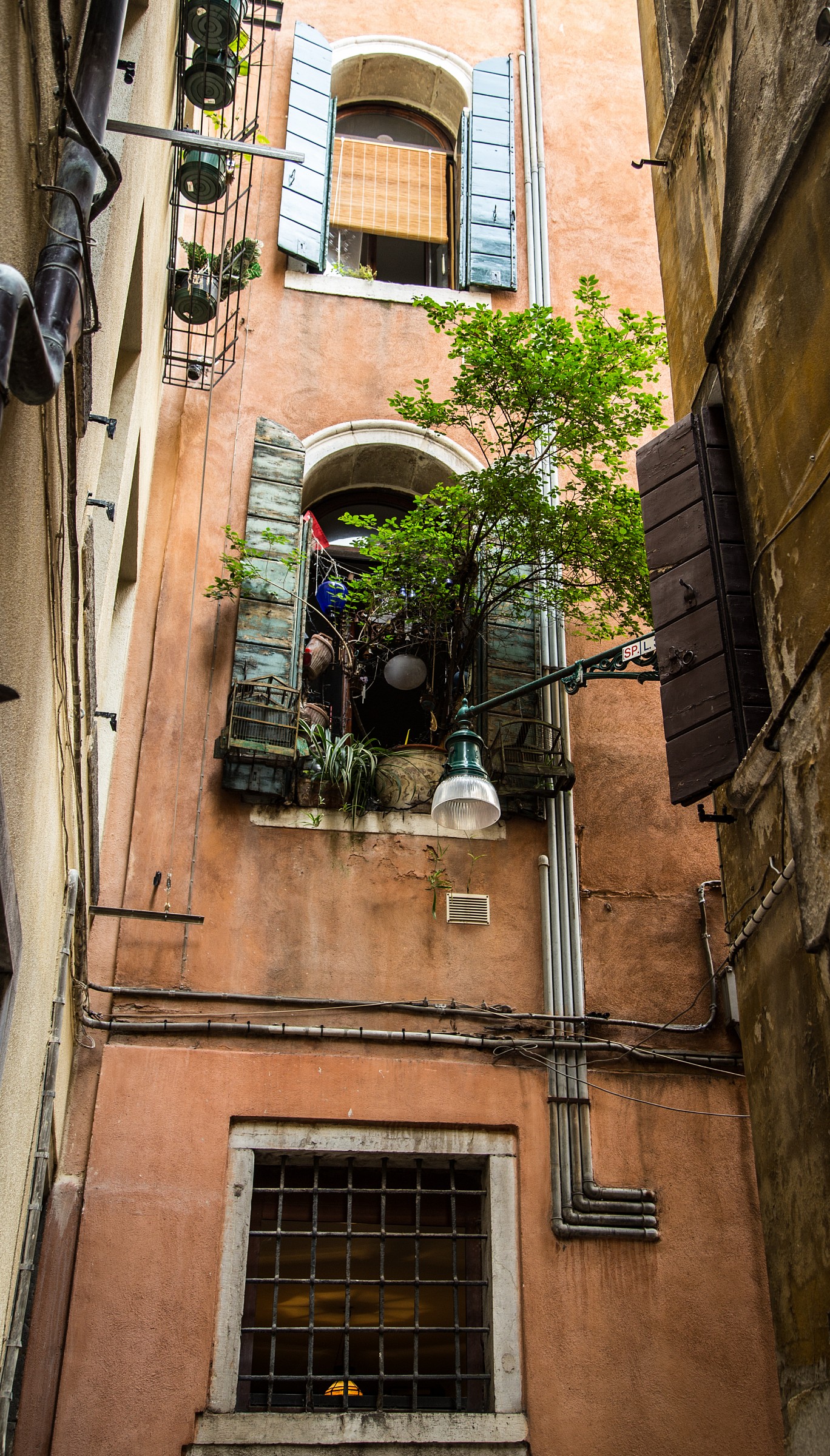 Amazzonia veneziana.