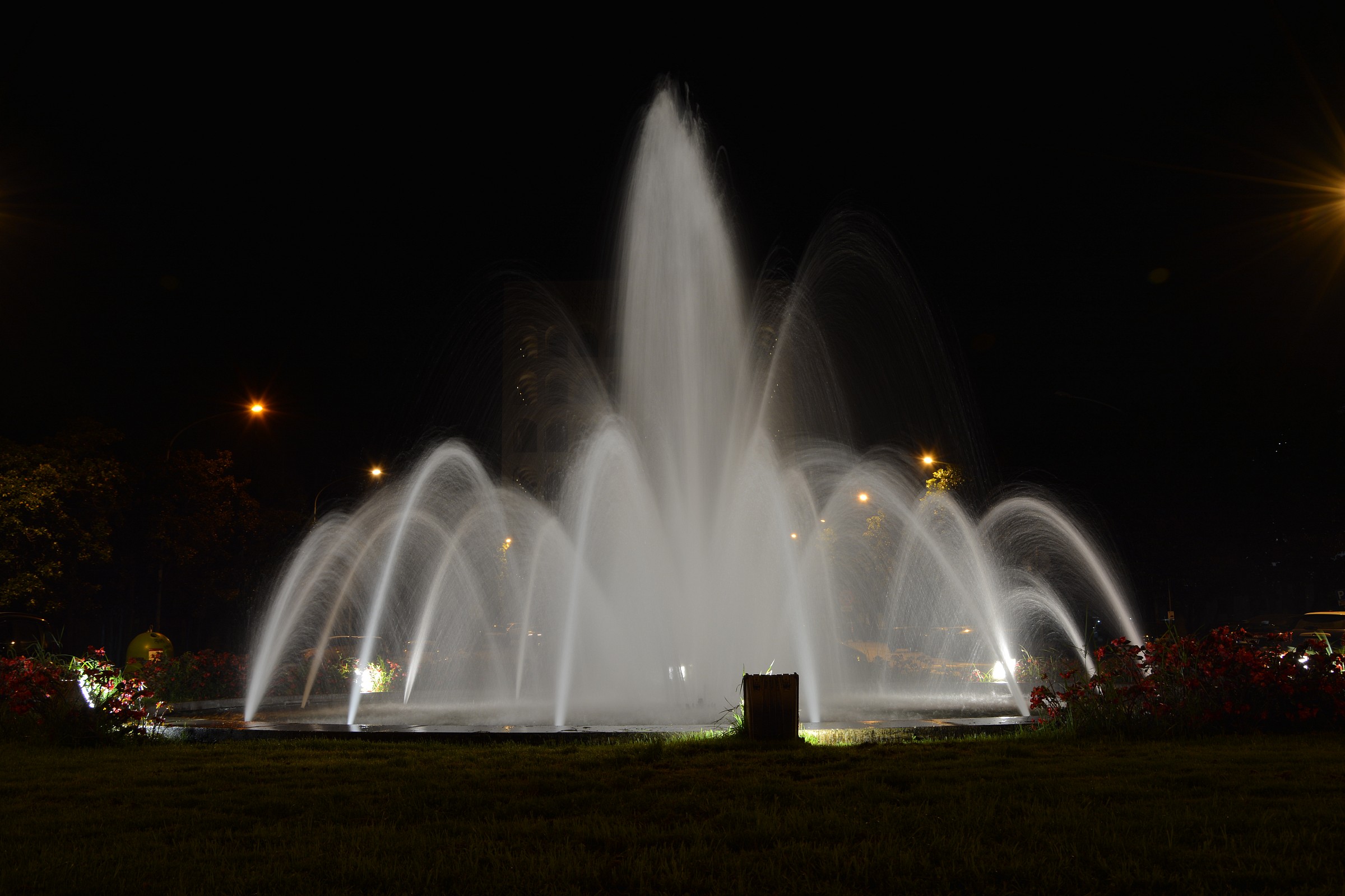 fontana di notte