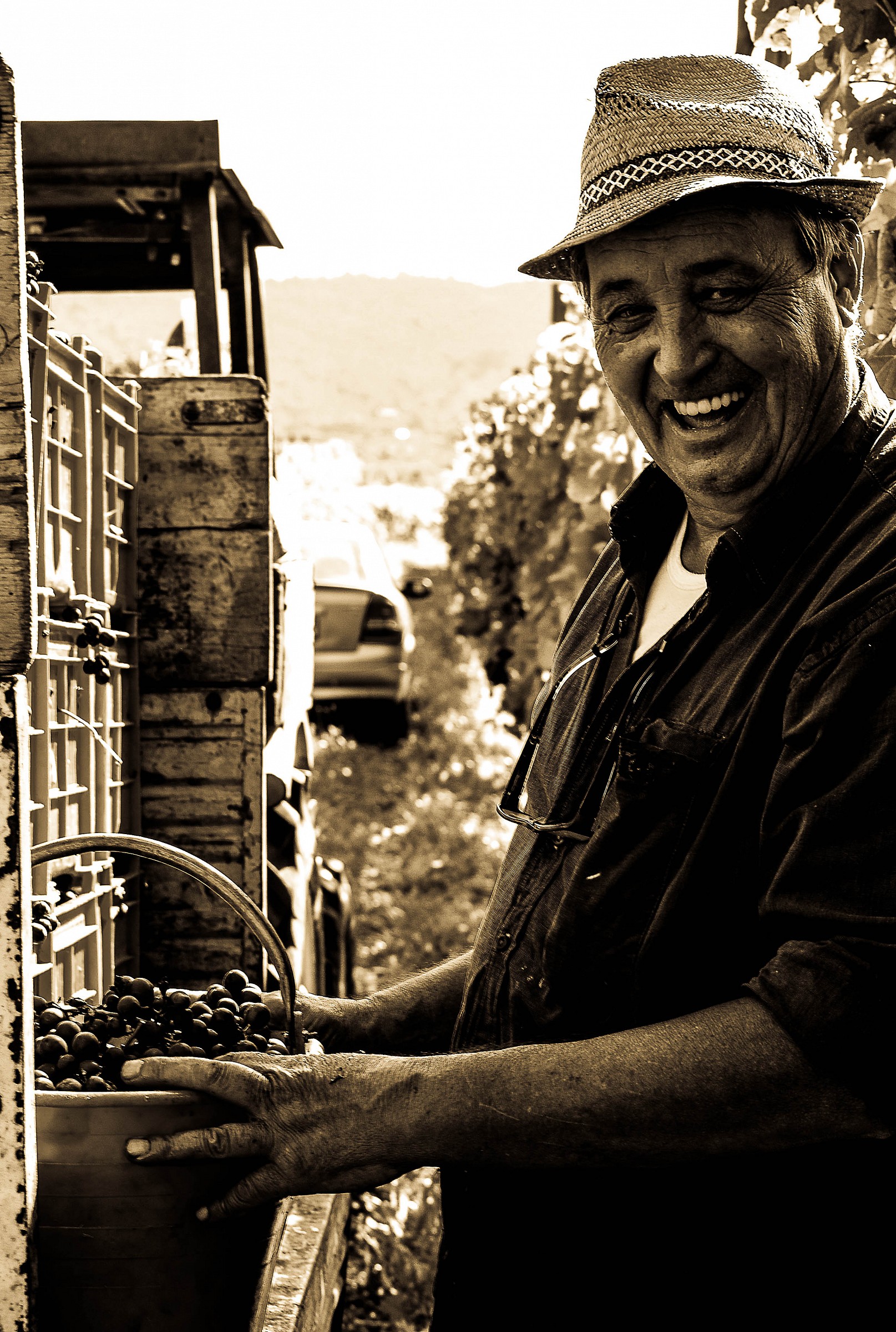 Fine vendemmia: gioia, fatica e tradizione