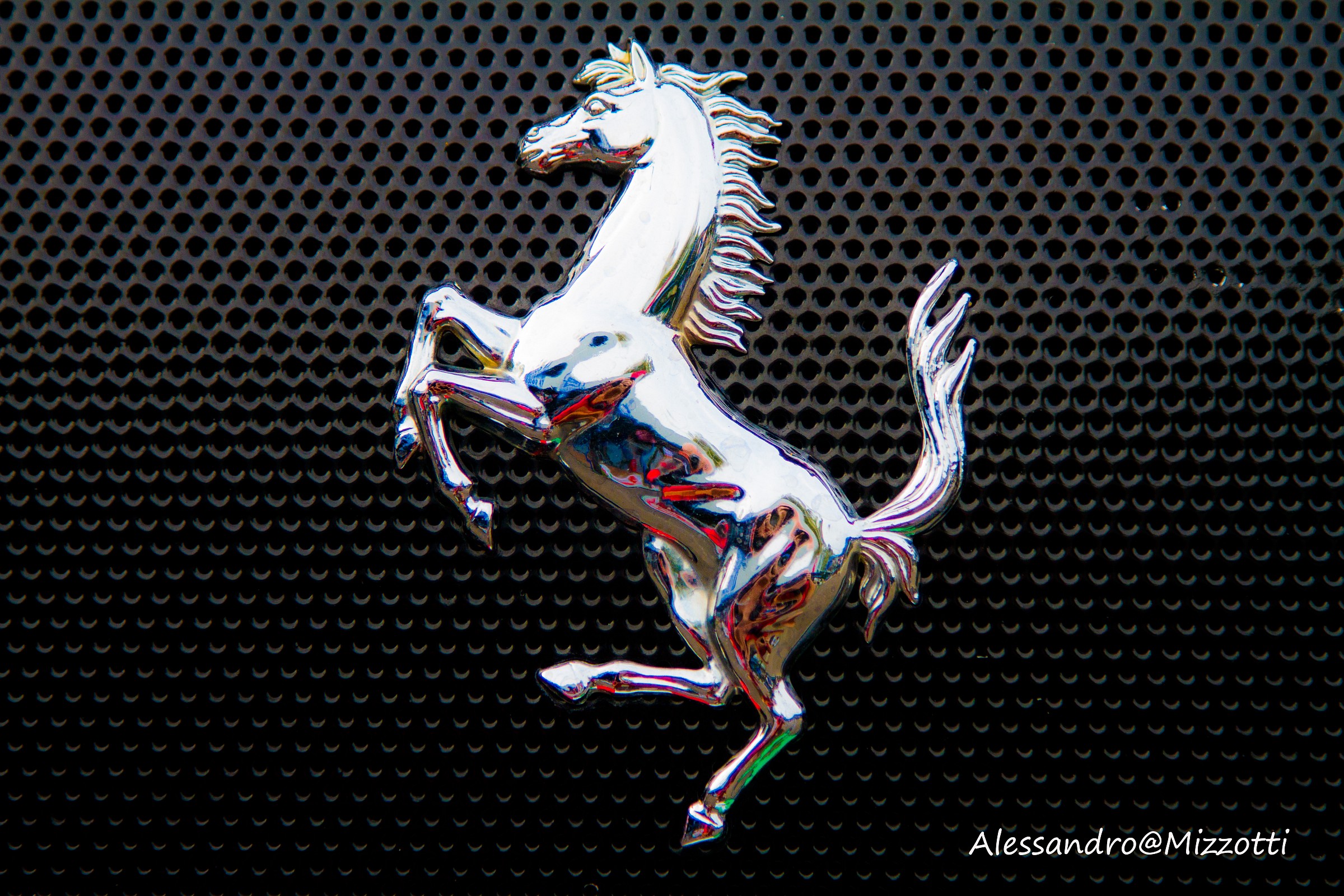 Cavallino Rampante