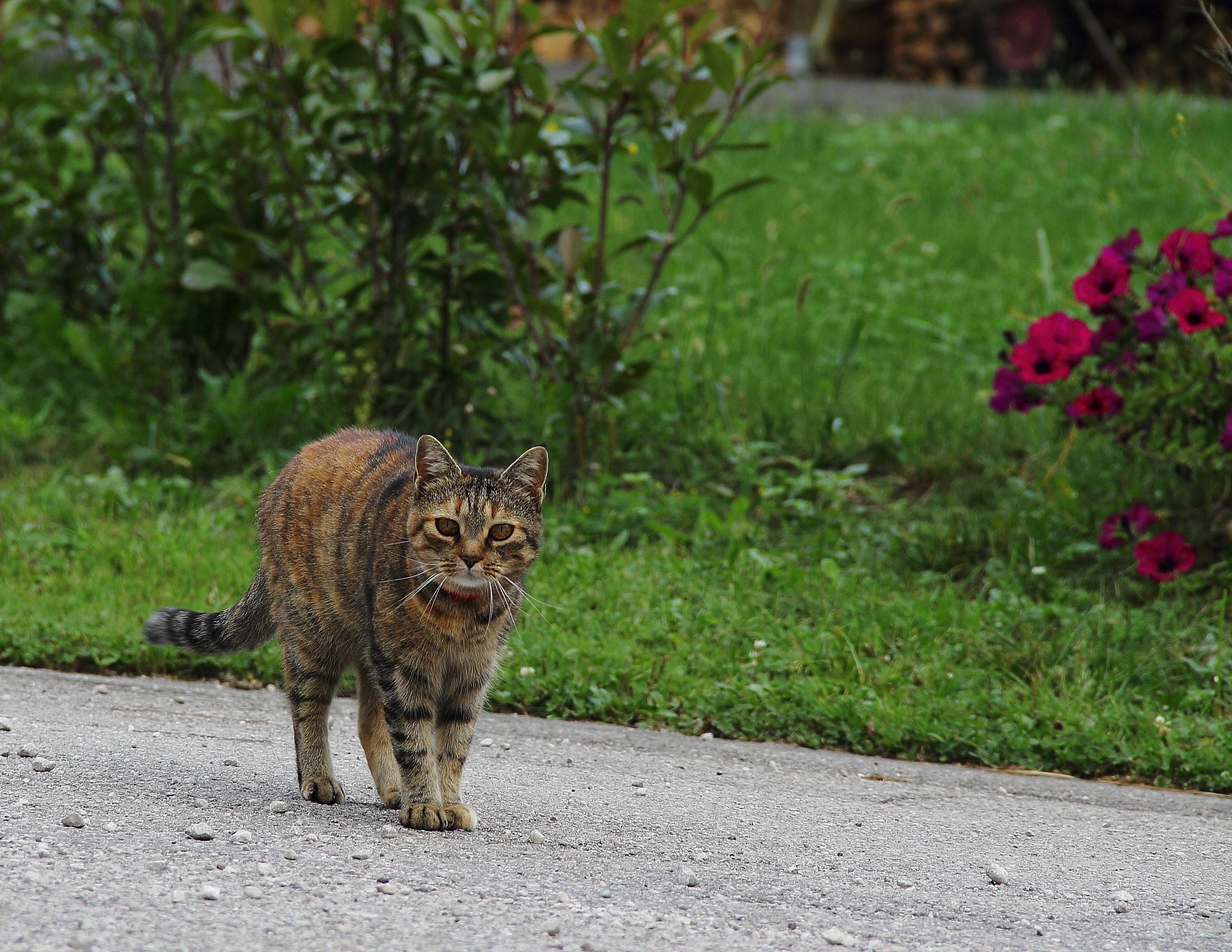 What do you want ??? .....