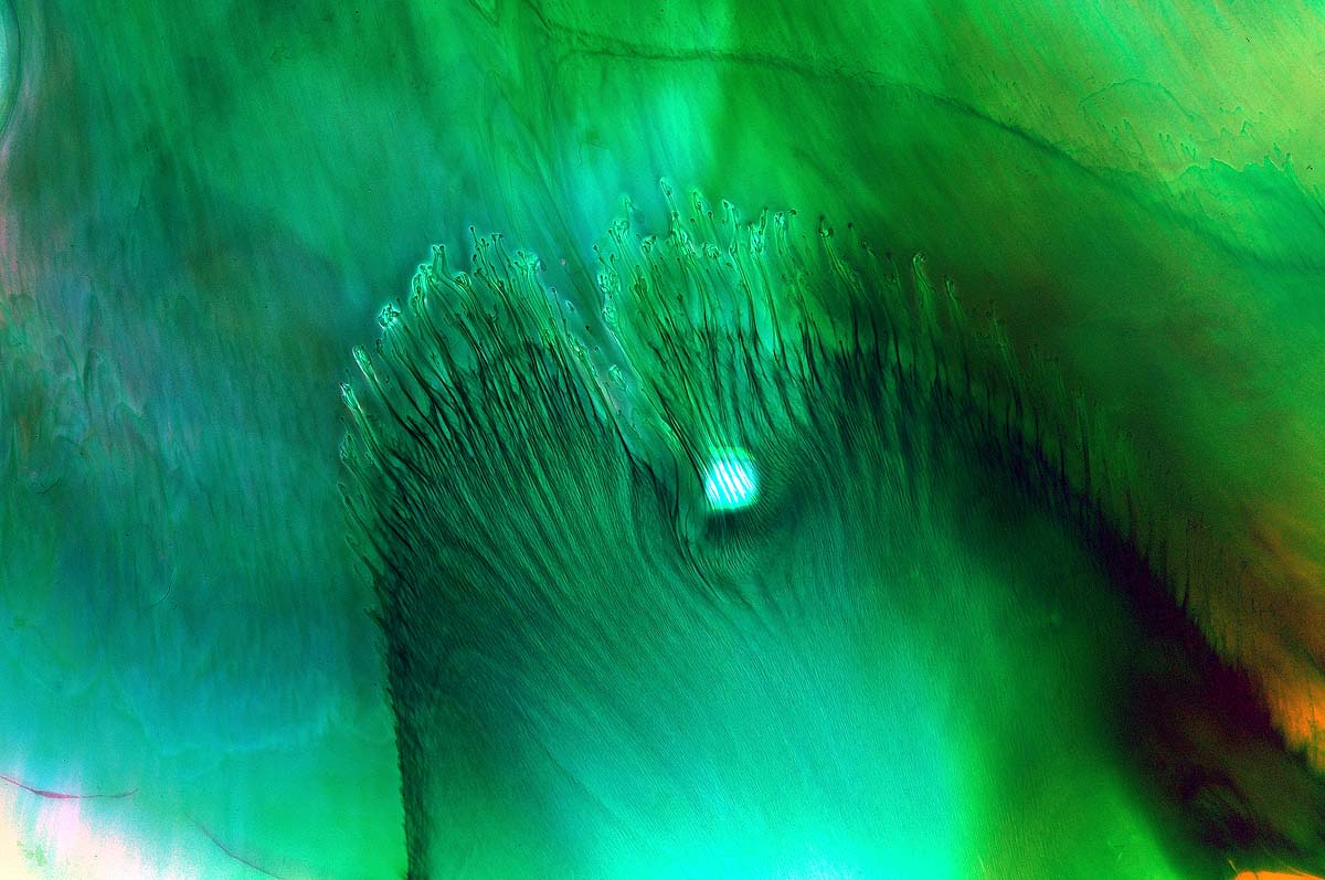 Alla ricerca di terre feconde