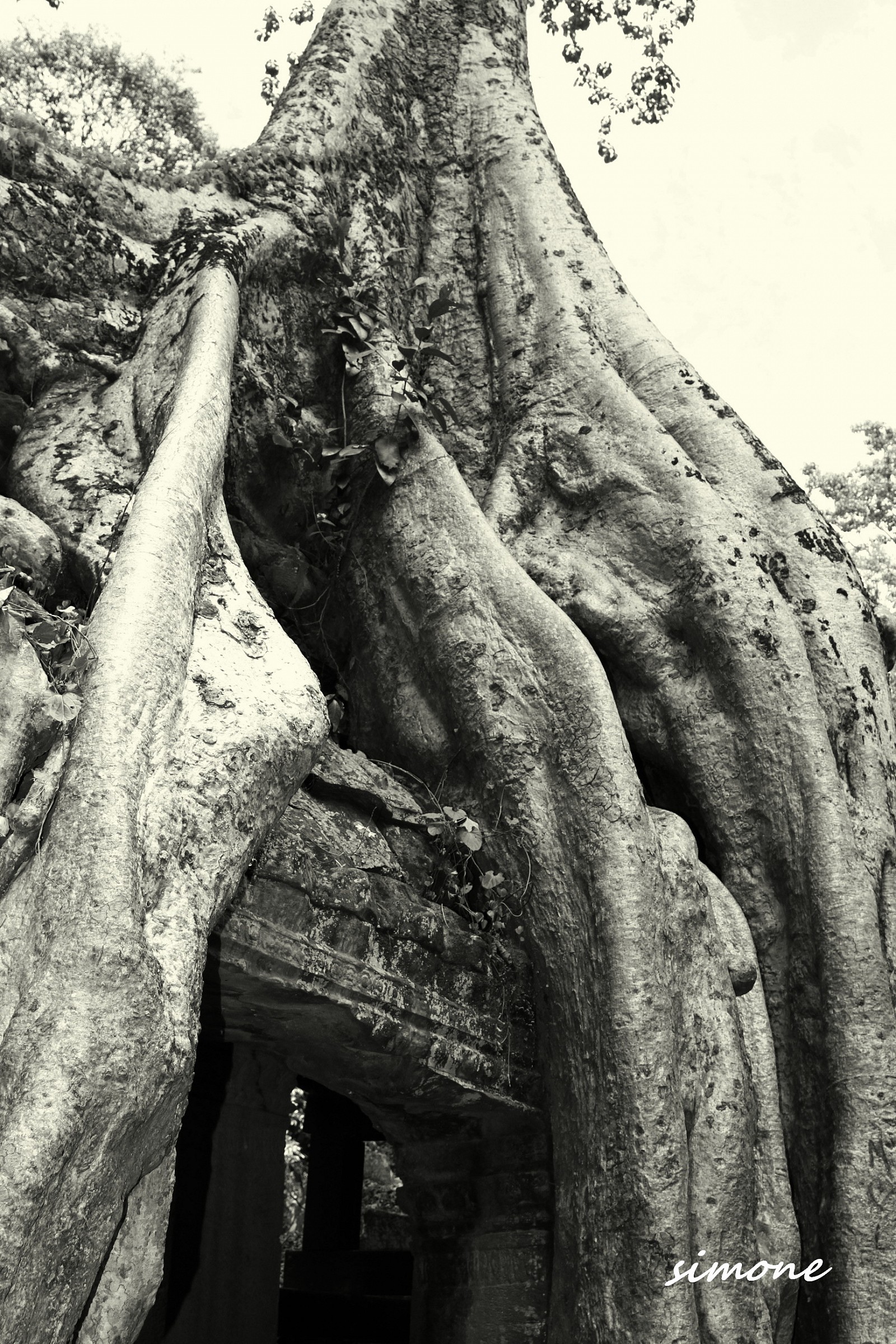 The upper hand of nature