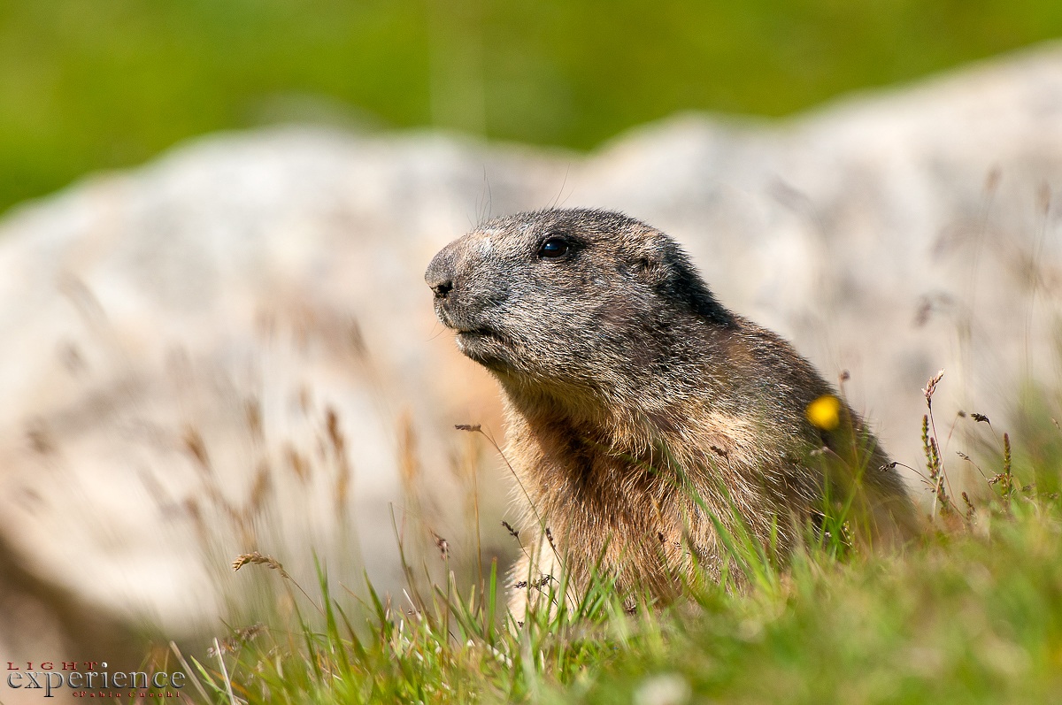 mi scaldo al sole...