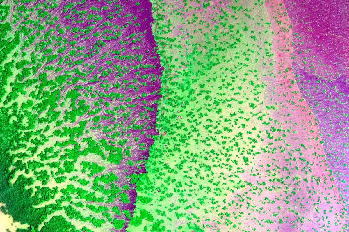 Micro atolli nel vento interstellare