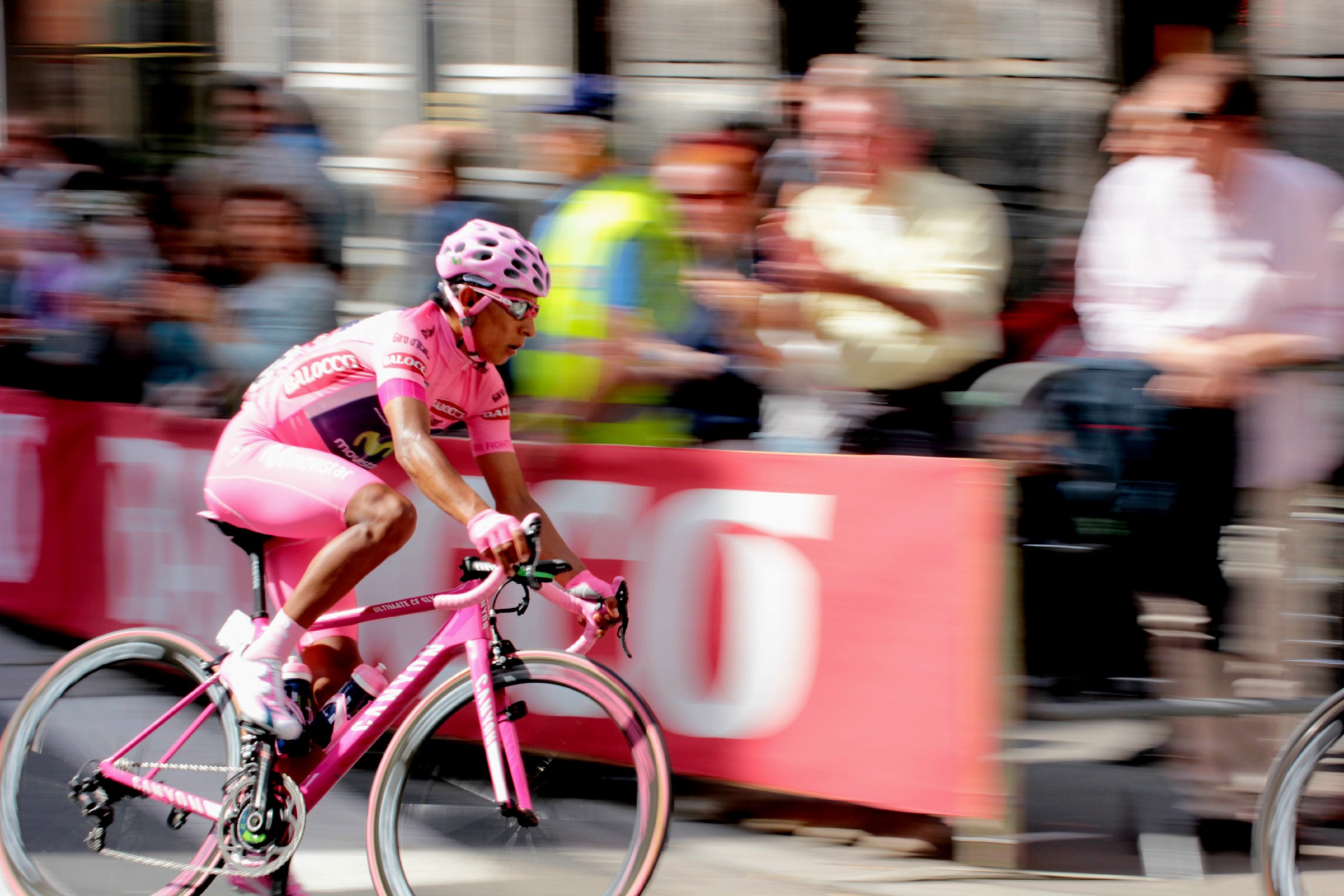 Jersey Rosa_Trieste2014