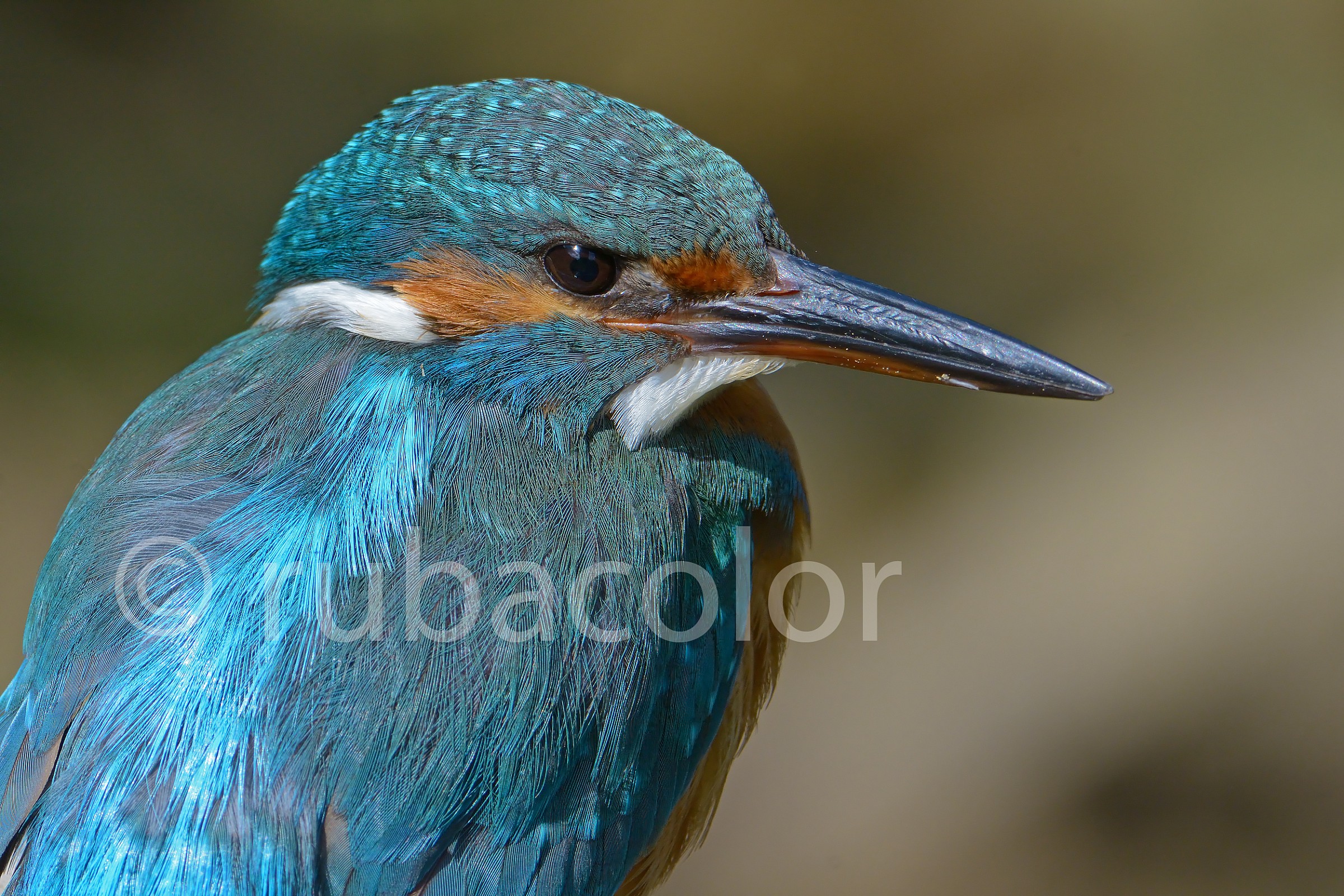 Quando il sole teneva in pugno il meglio del suo blu