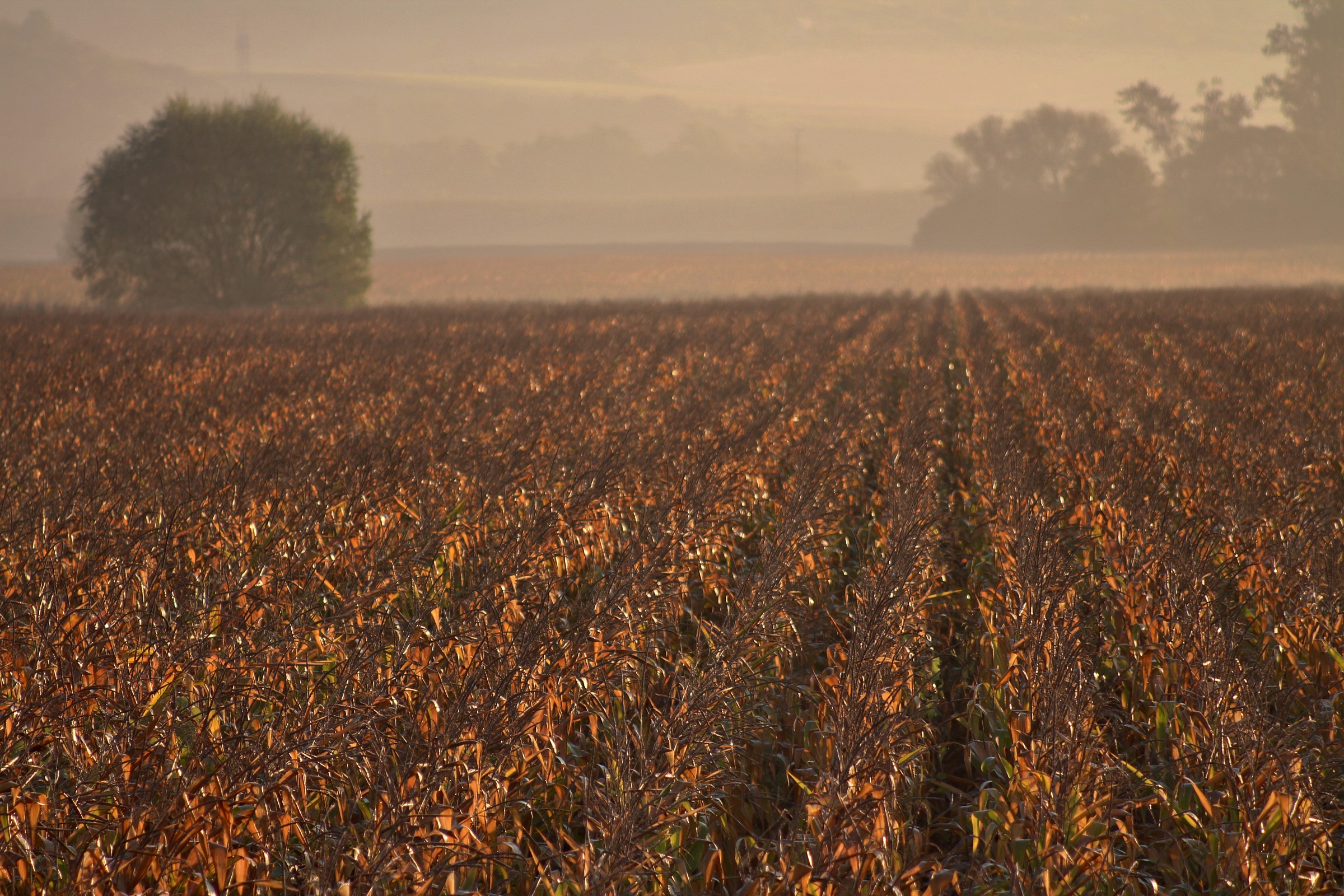 We went along the riverside 6