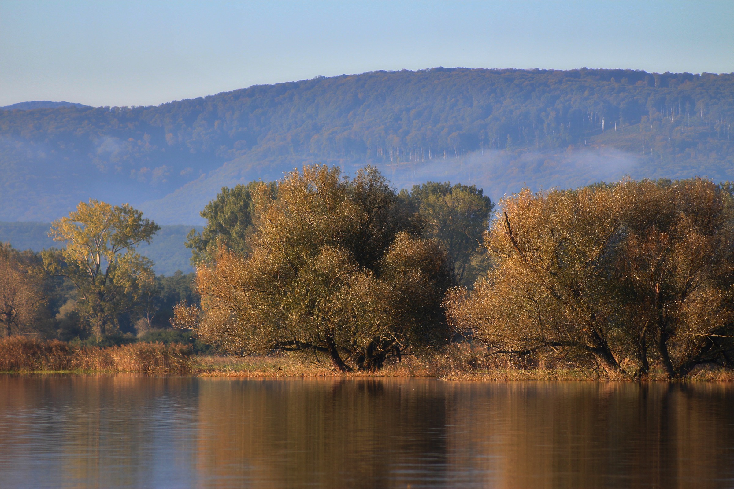 We went along the riverside 8