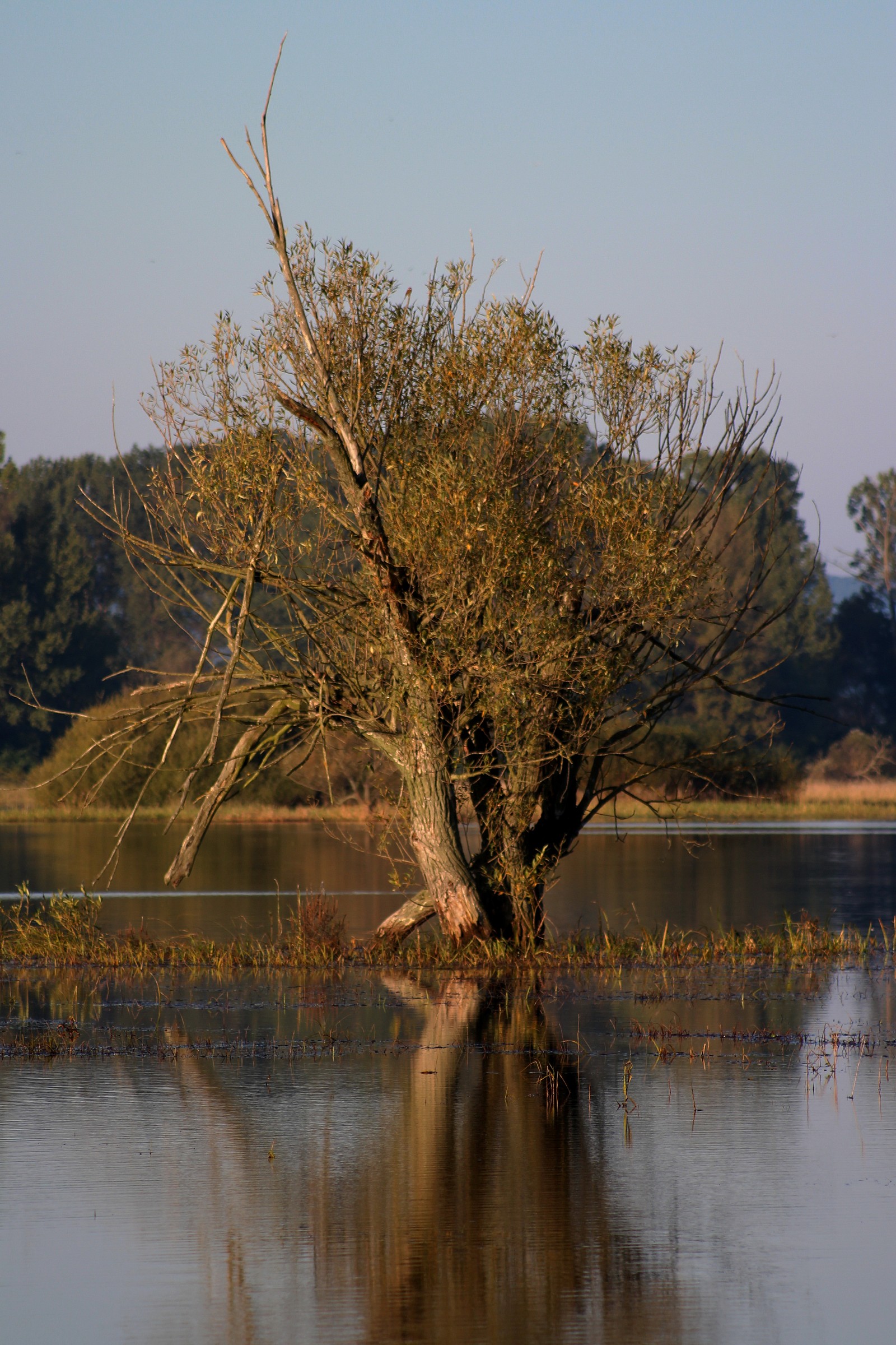 We went along the riverside 9