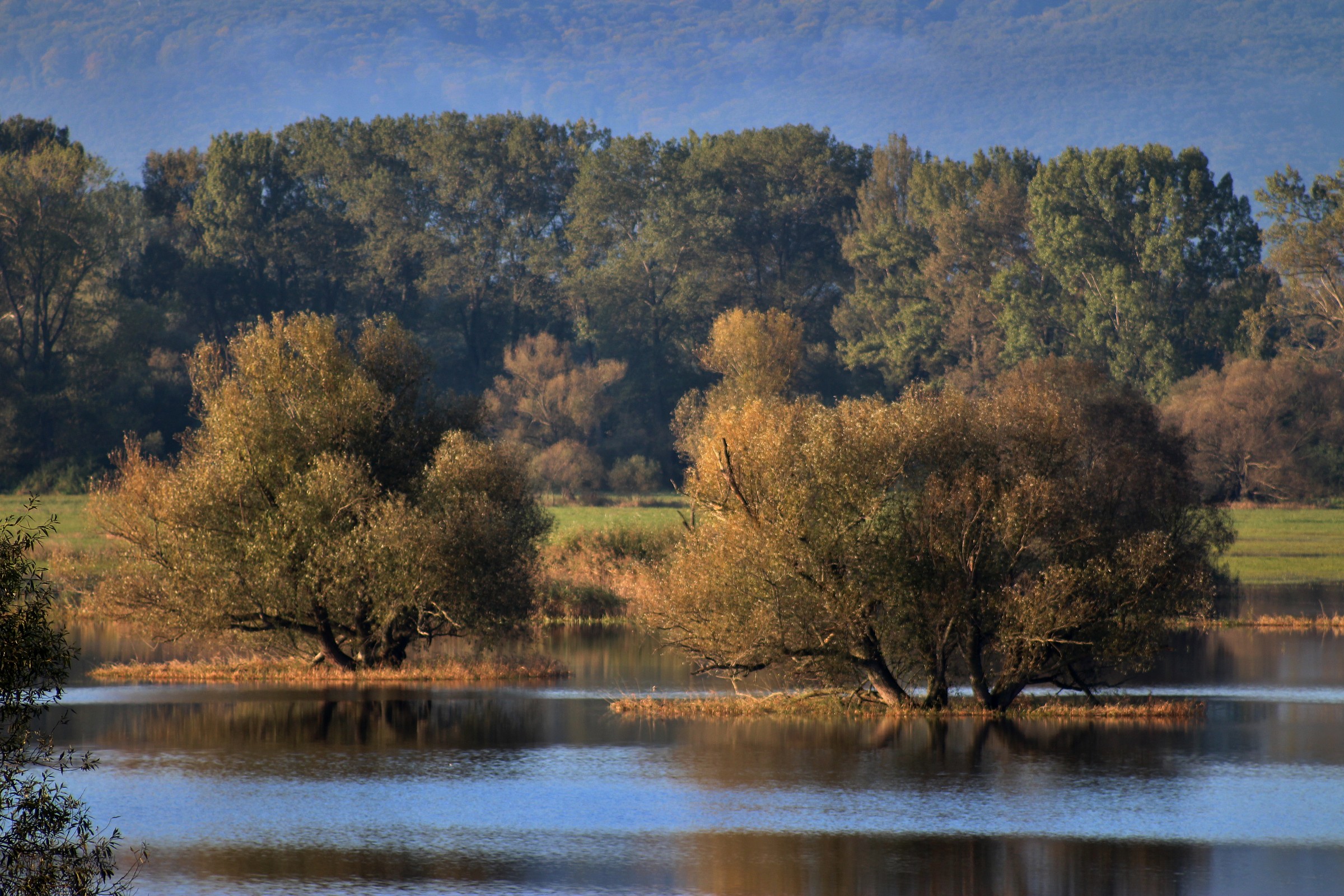 We went along the riverside10