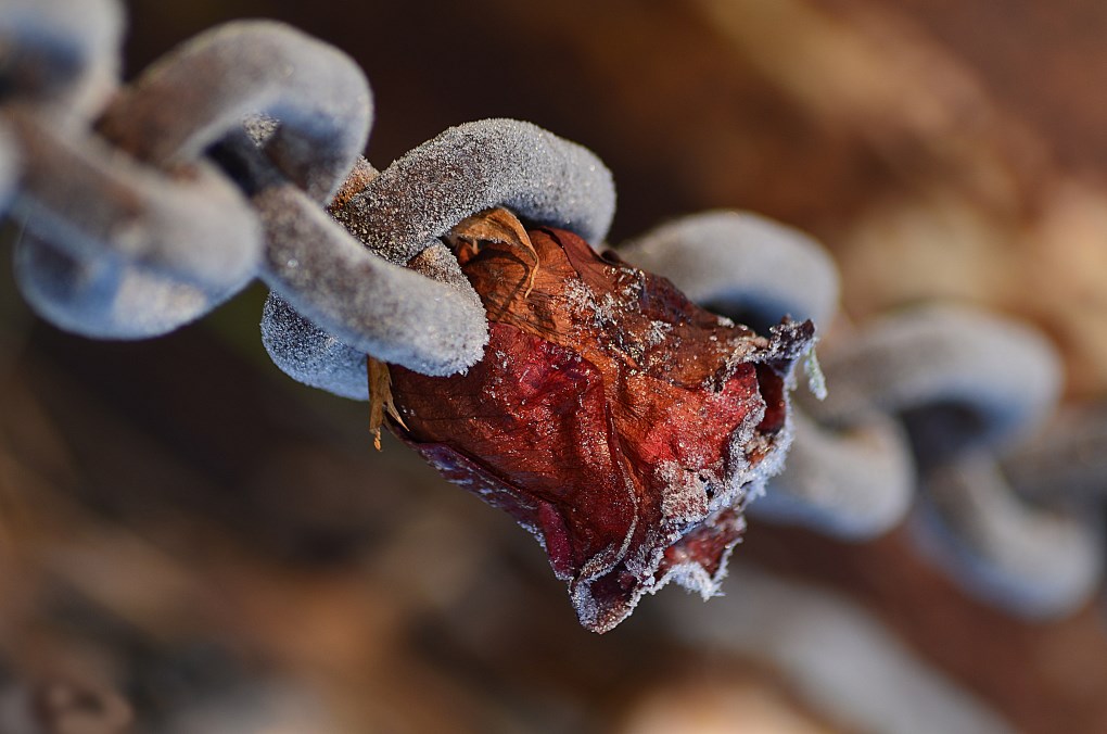 After a 3 night could