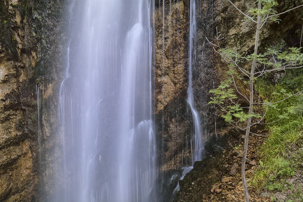 Waterfall Golden Calf - Faringdon