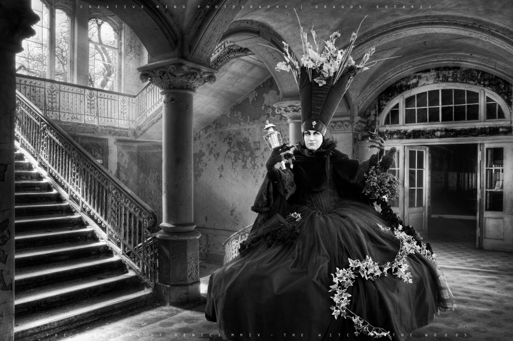 the witch of the woods