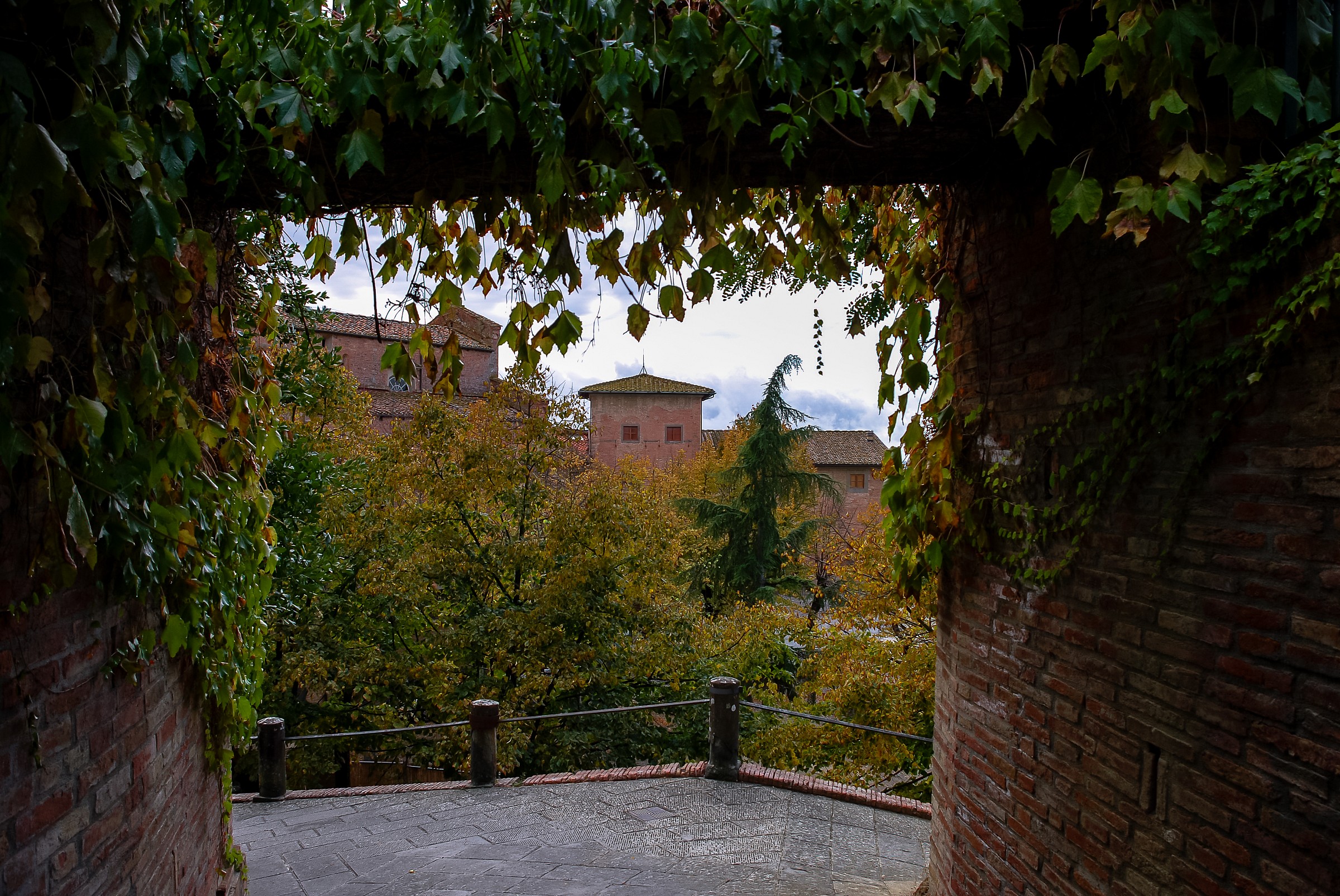 Camminata a San Miniato