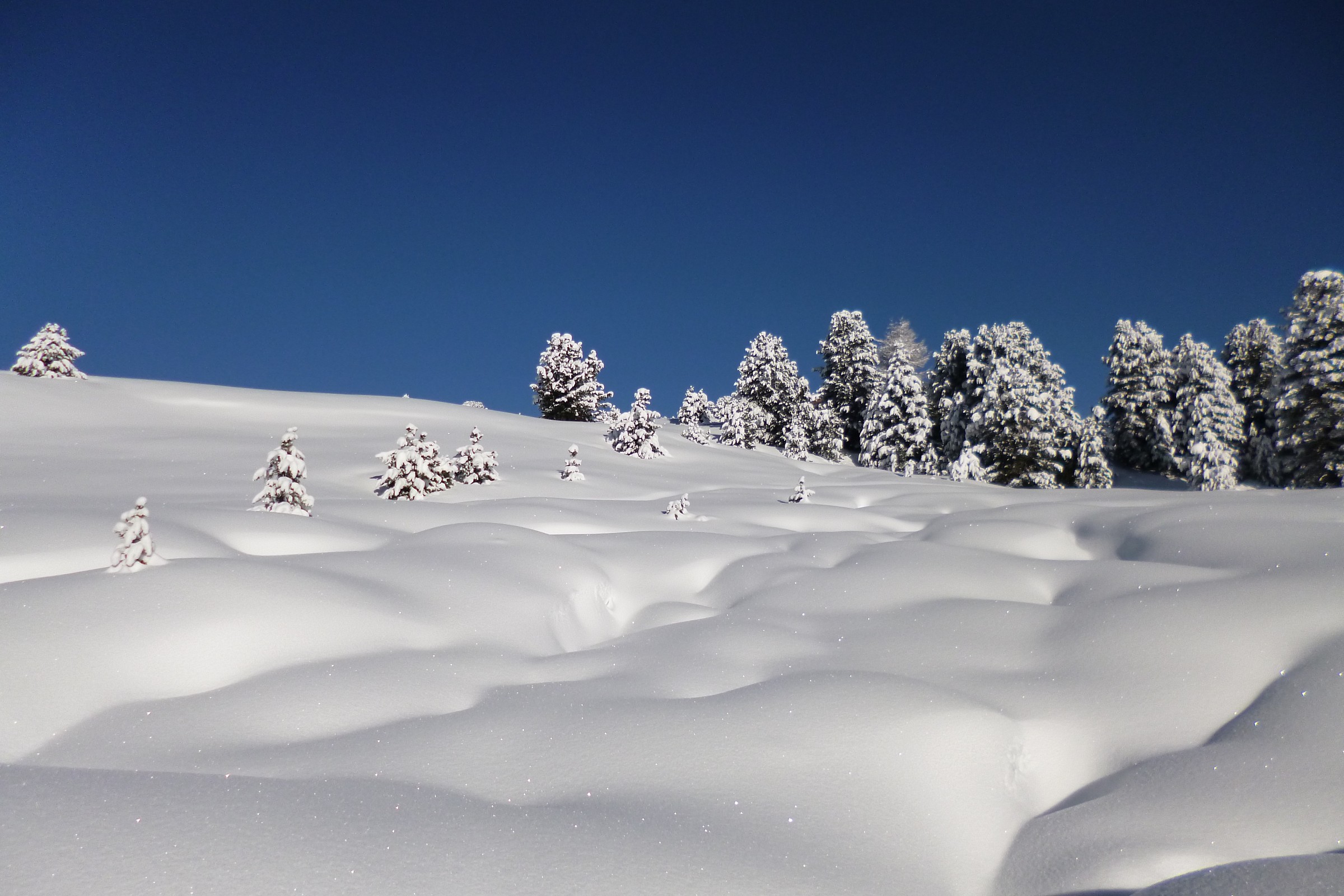 parco naturale puez-odle