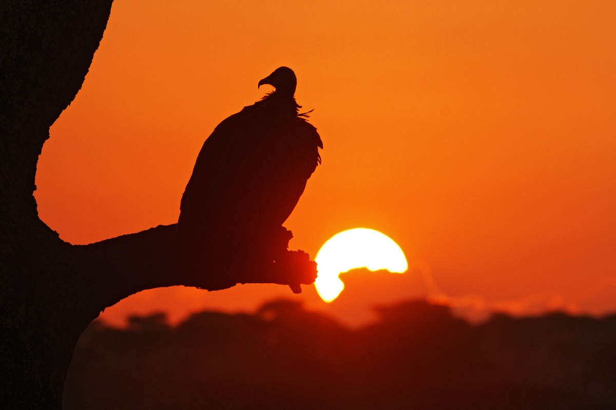 L 'dawn of a new day