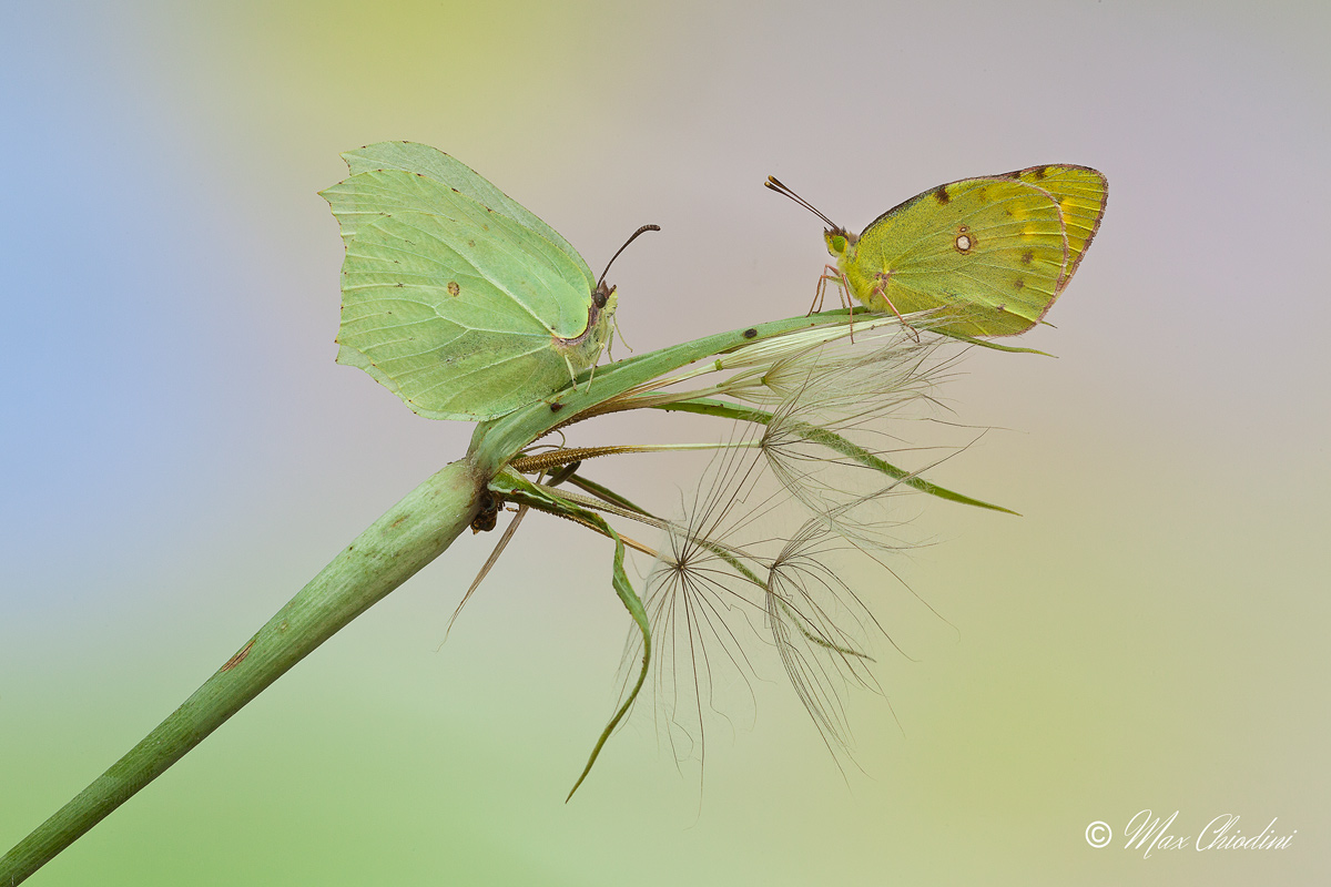 What are you doing here?