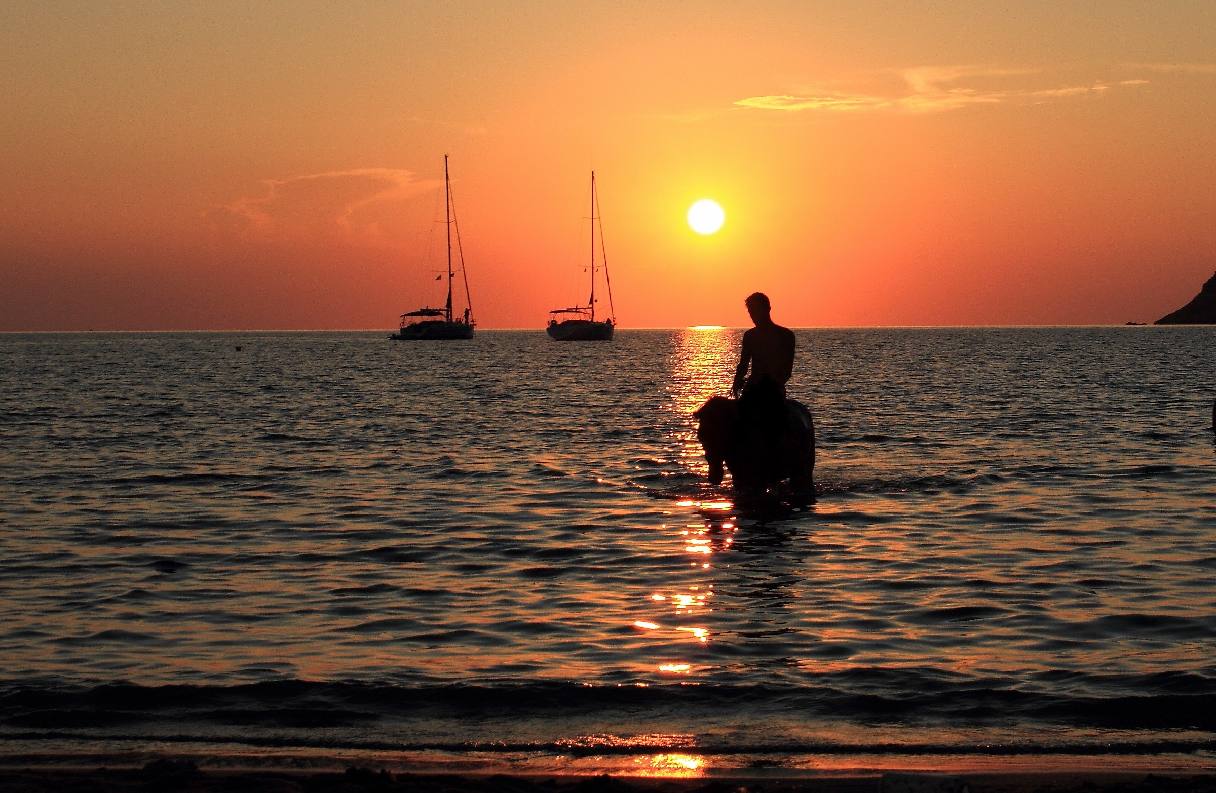 THE MAN THE horse THE SEA