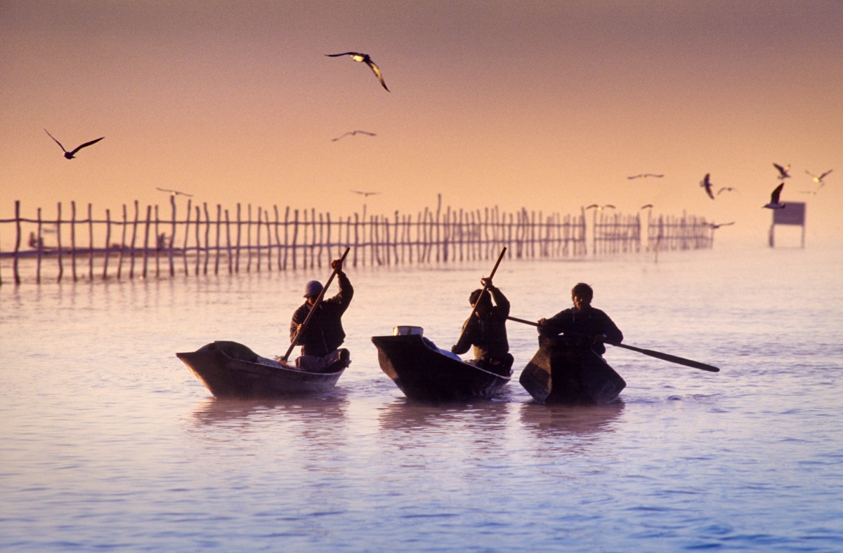 Inle Lake - Rowboats