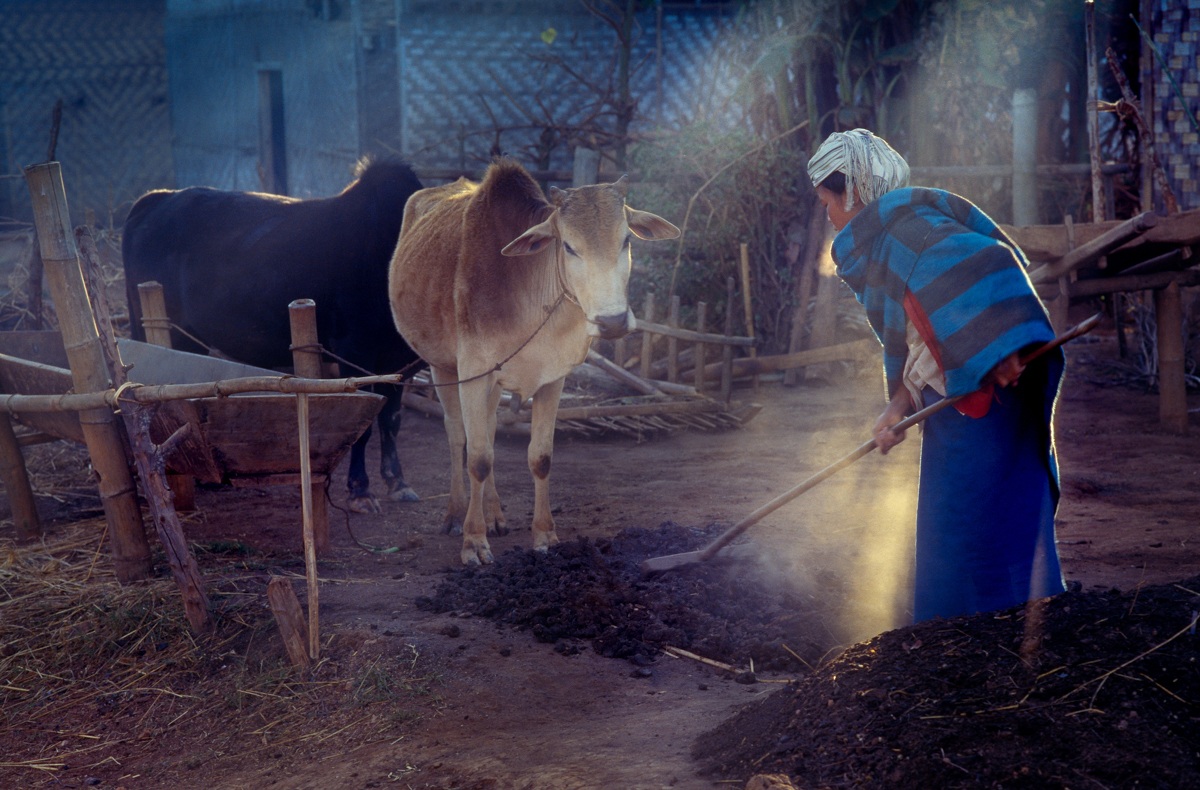 Shan State - Pao ethnic group, a sunbeam enlightens her