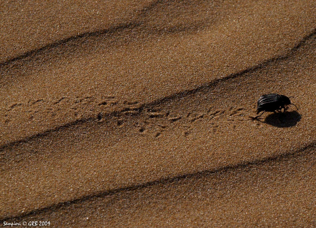 sampieri- On the beach