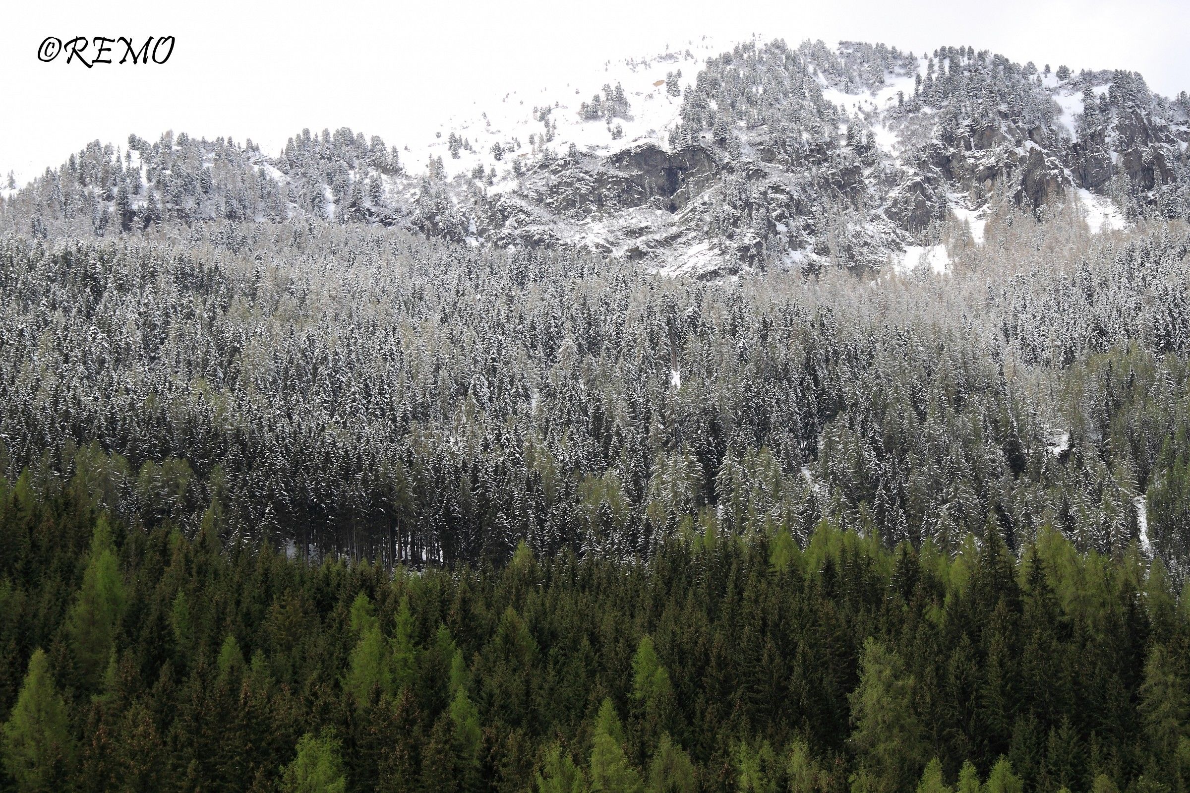 Bicolor ... Val di Fassa