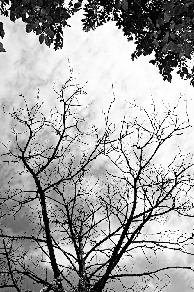 Before and after ...