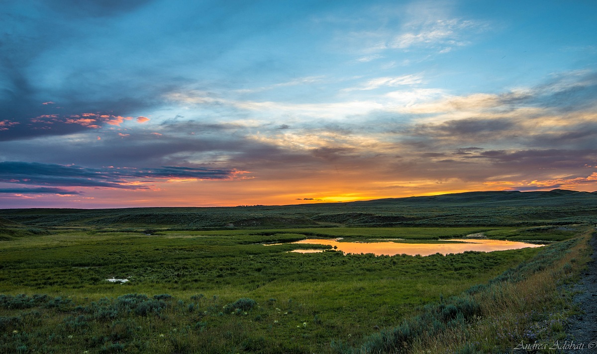 Hayden Valley sunset