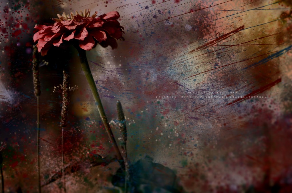 Painting my pictures