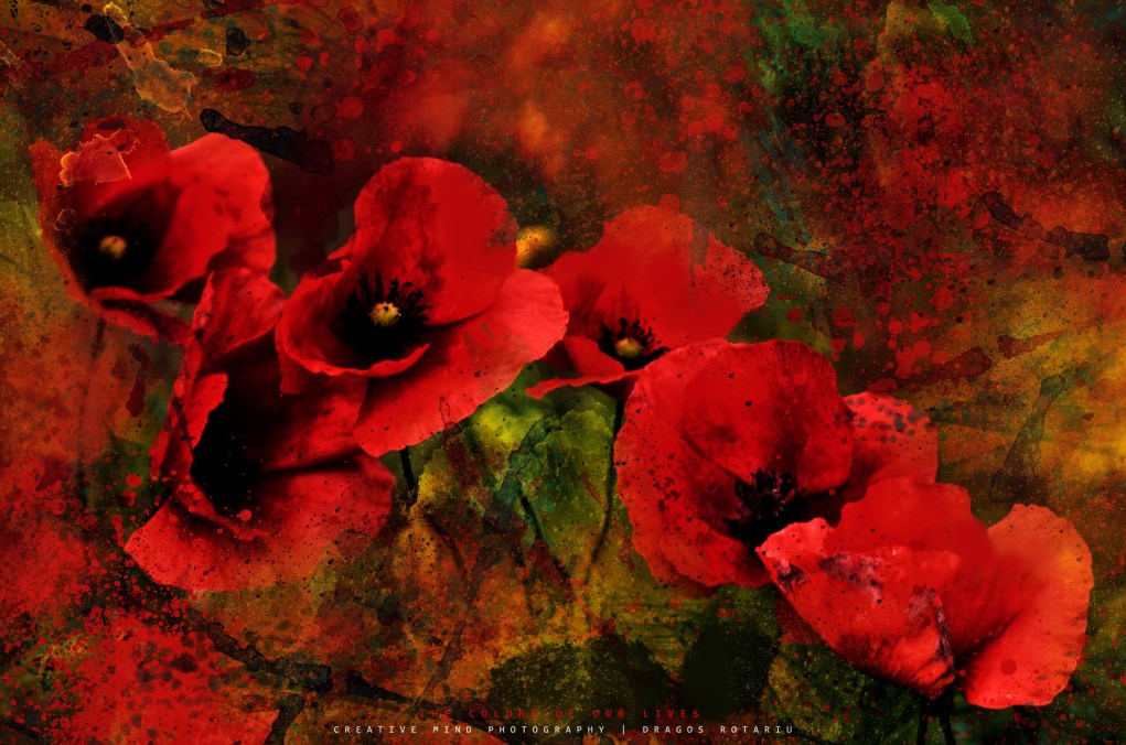 The colors of our lives