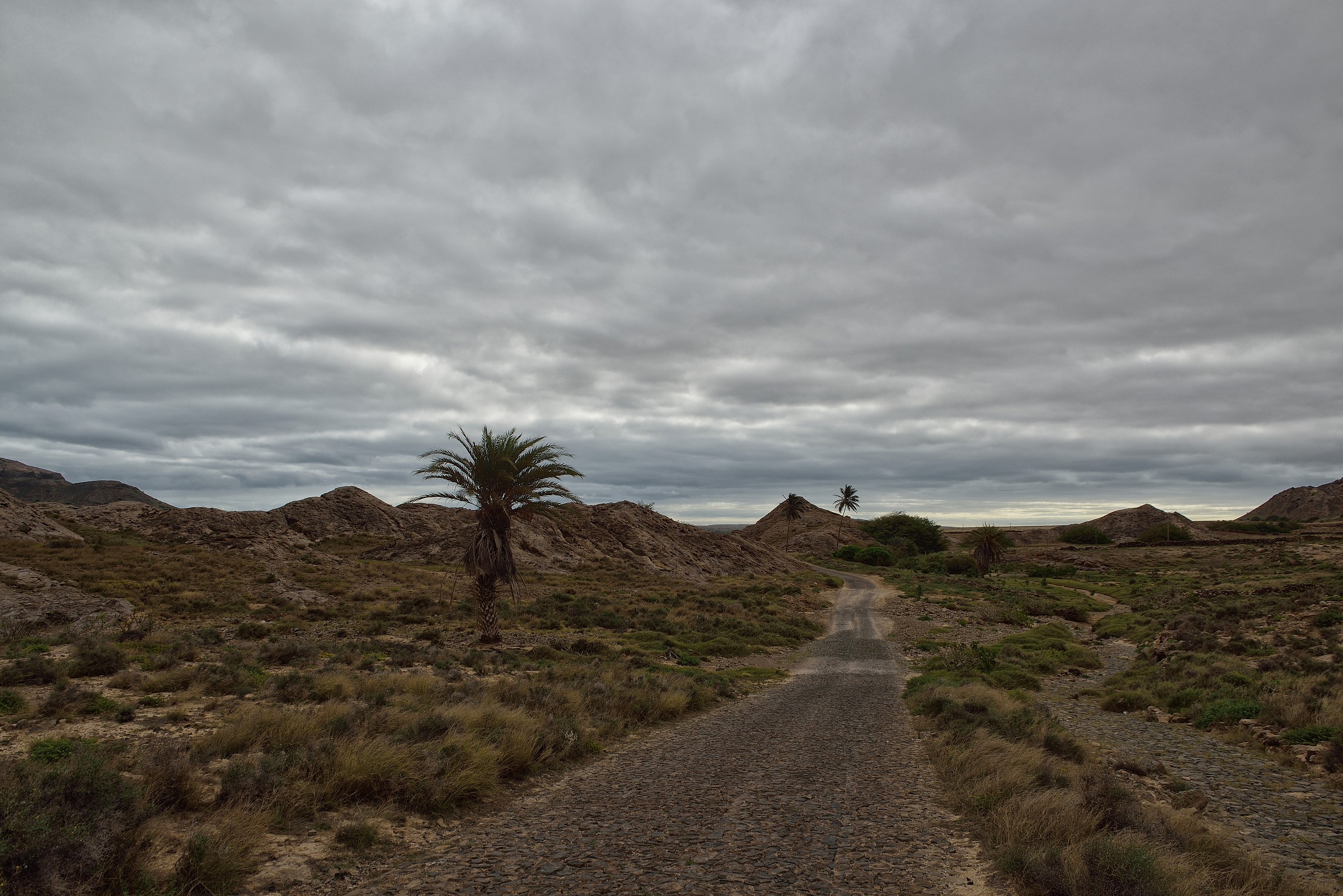 street "women" Boavista
