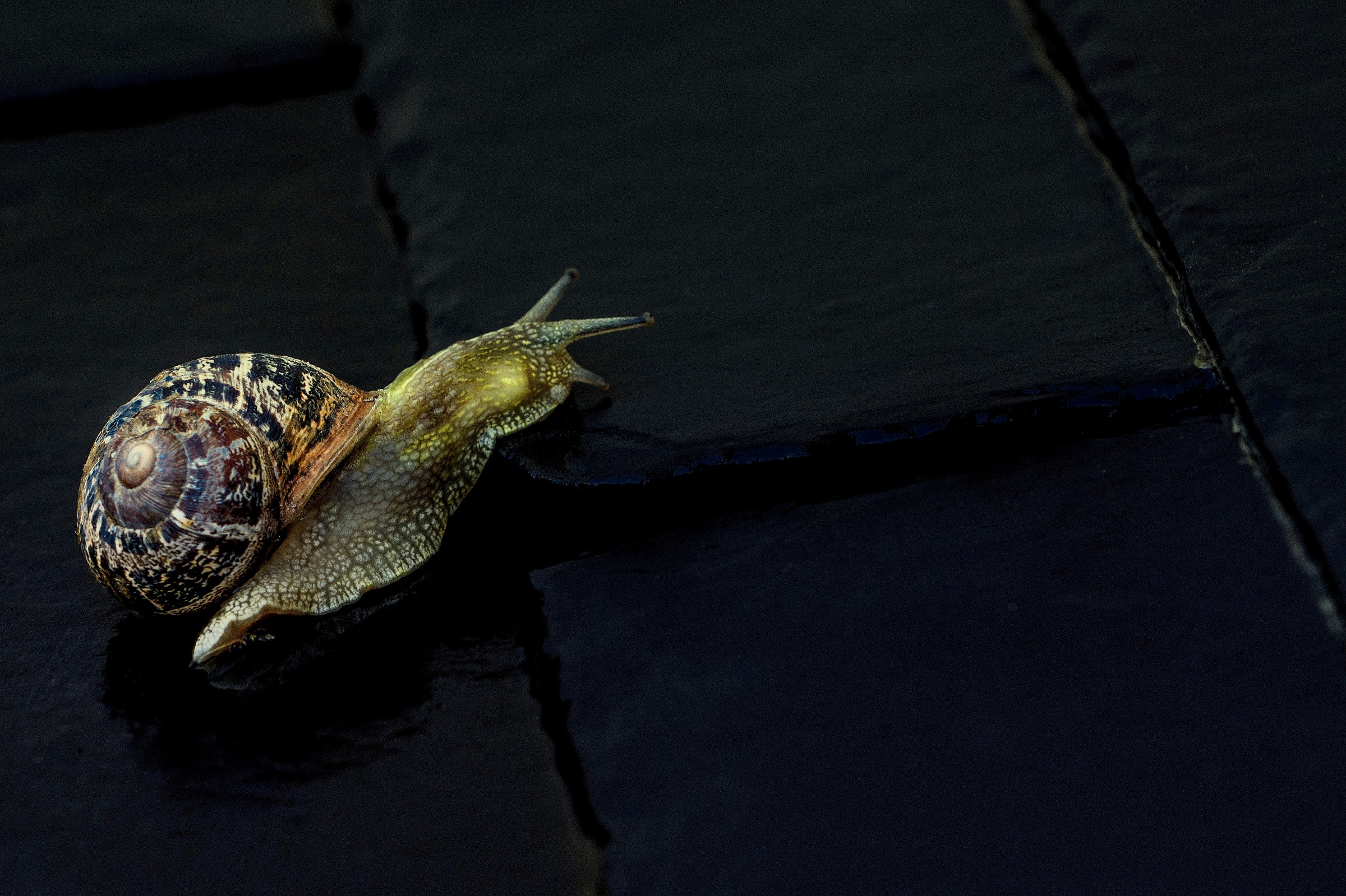 low speeds...su un tetto di ardesia...................