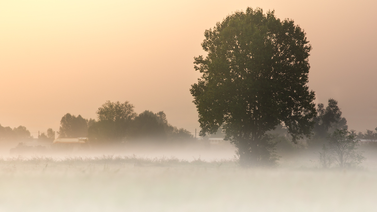 le train dans la plaine
