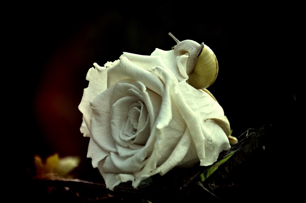 On the road and other places