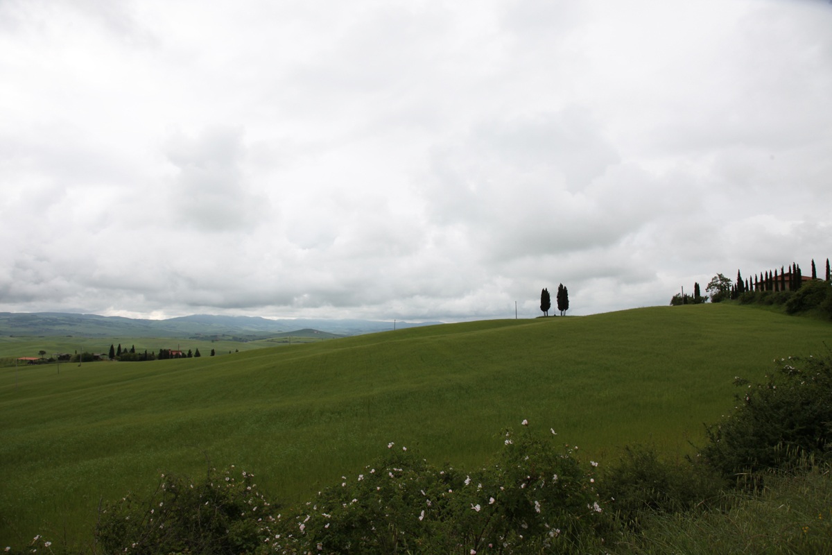 Meadows of Molise