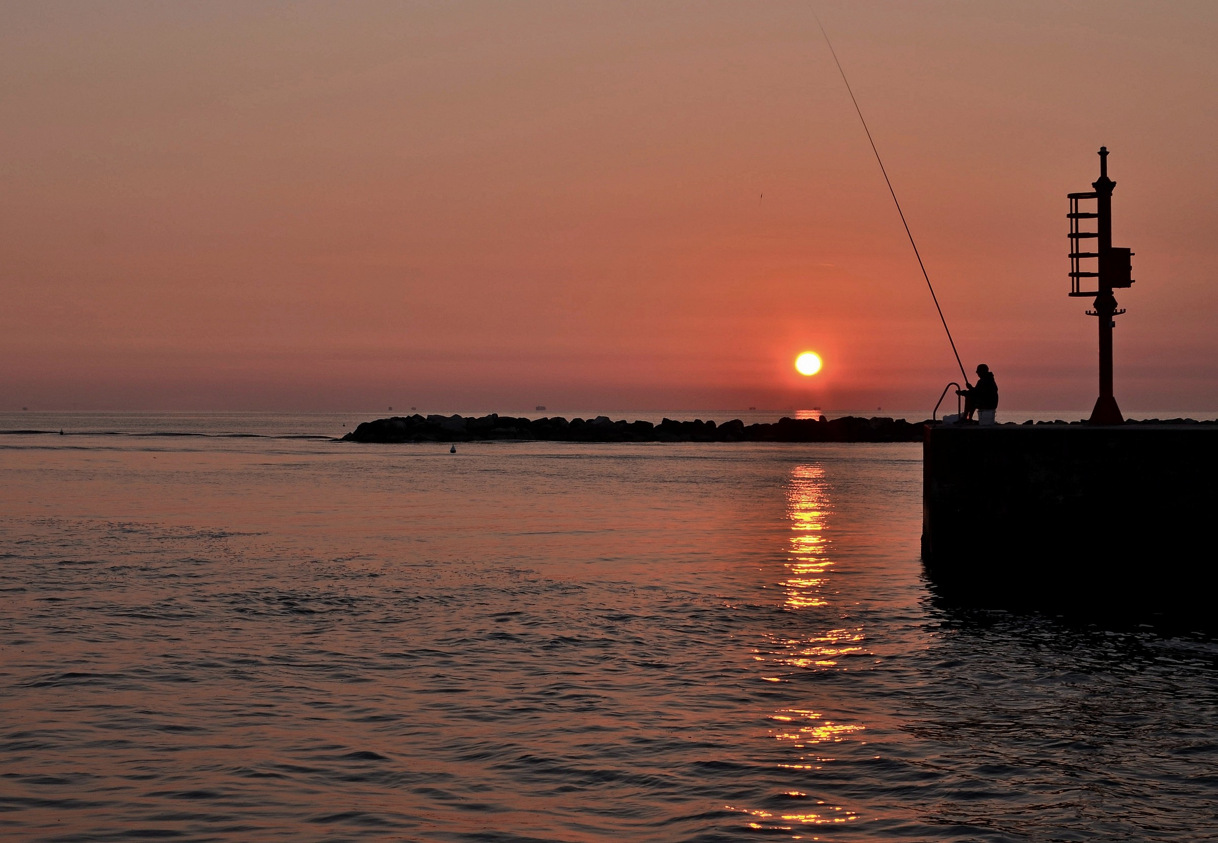 Anche oggi l'ho ripescato
