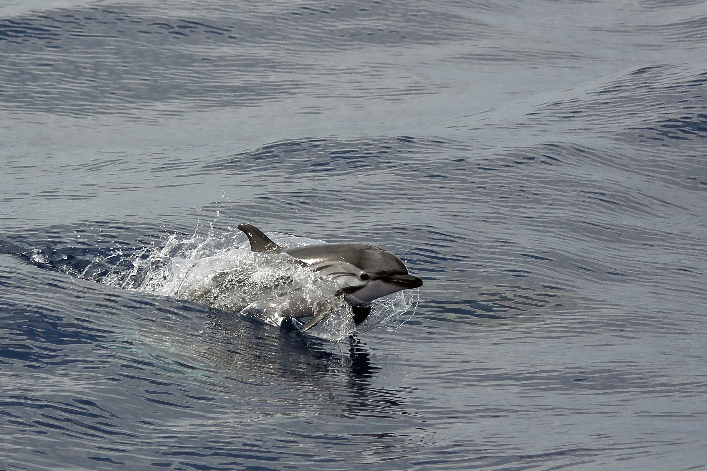 playing in the waves 2