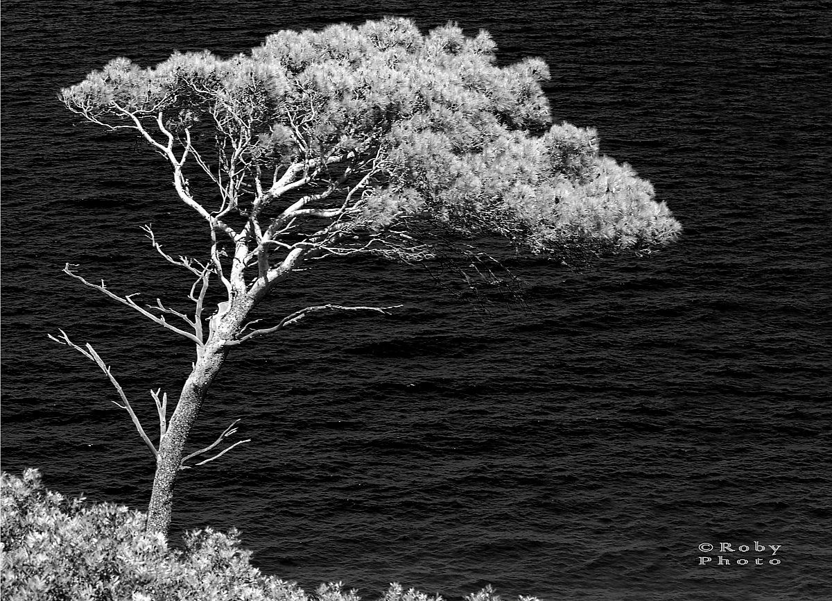 Mediterraneo da scoprire