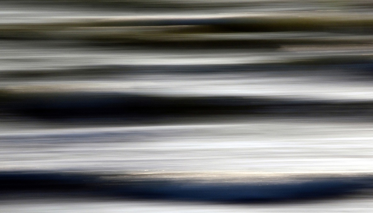 in silence in the sea ...