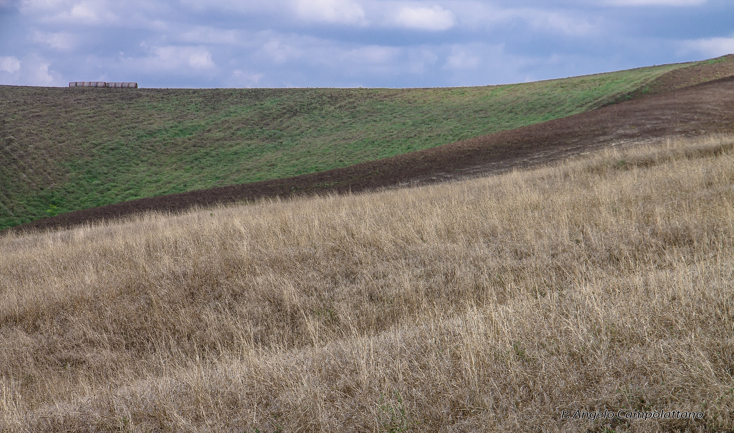 I just liked it !!!!!!!!!