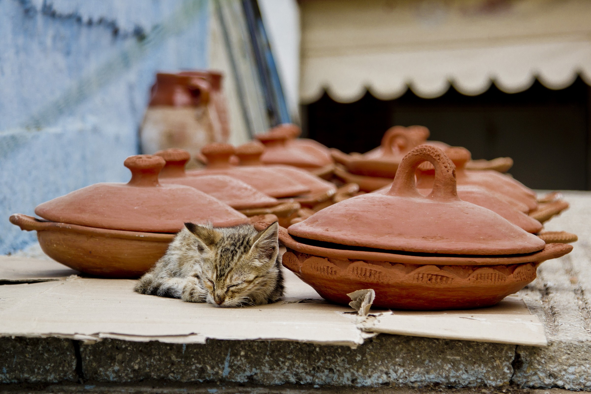 Tajine